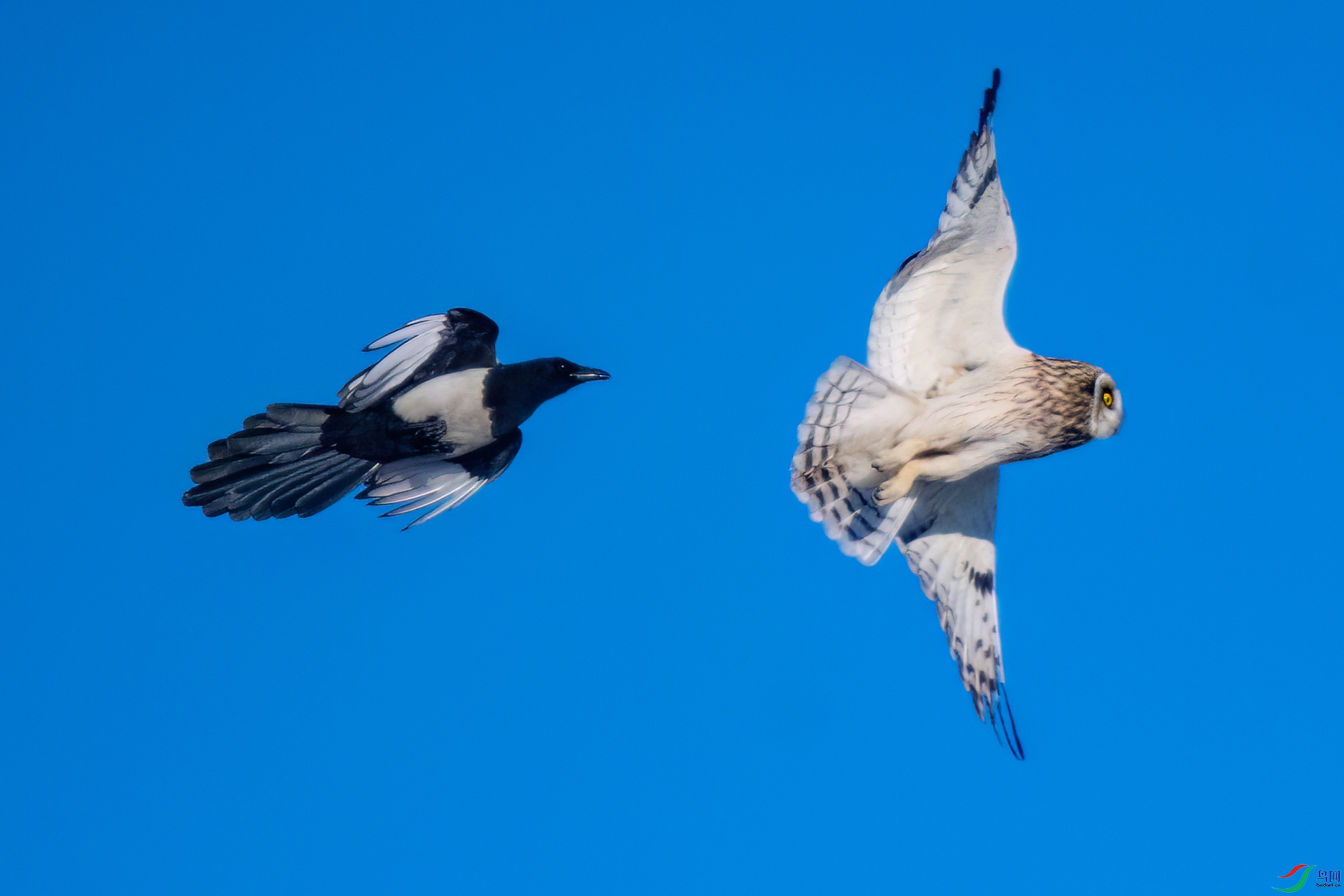 DSC_0462.jpg