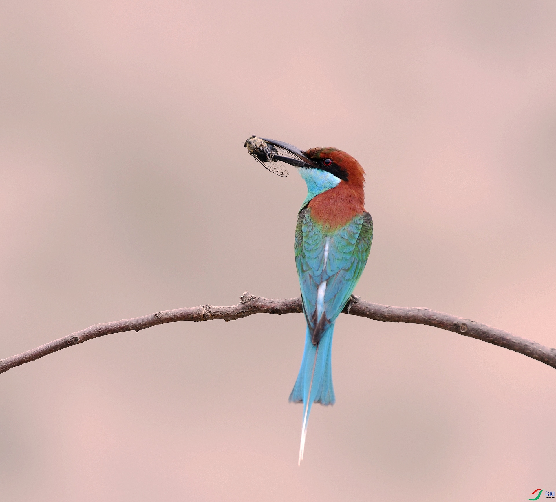 DSC_5293.jpg