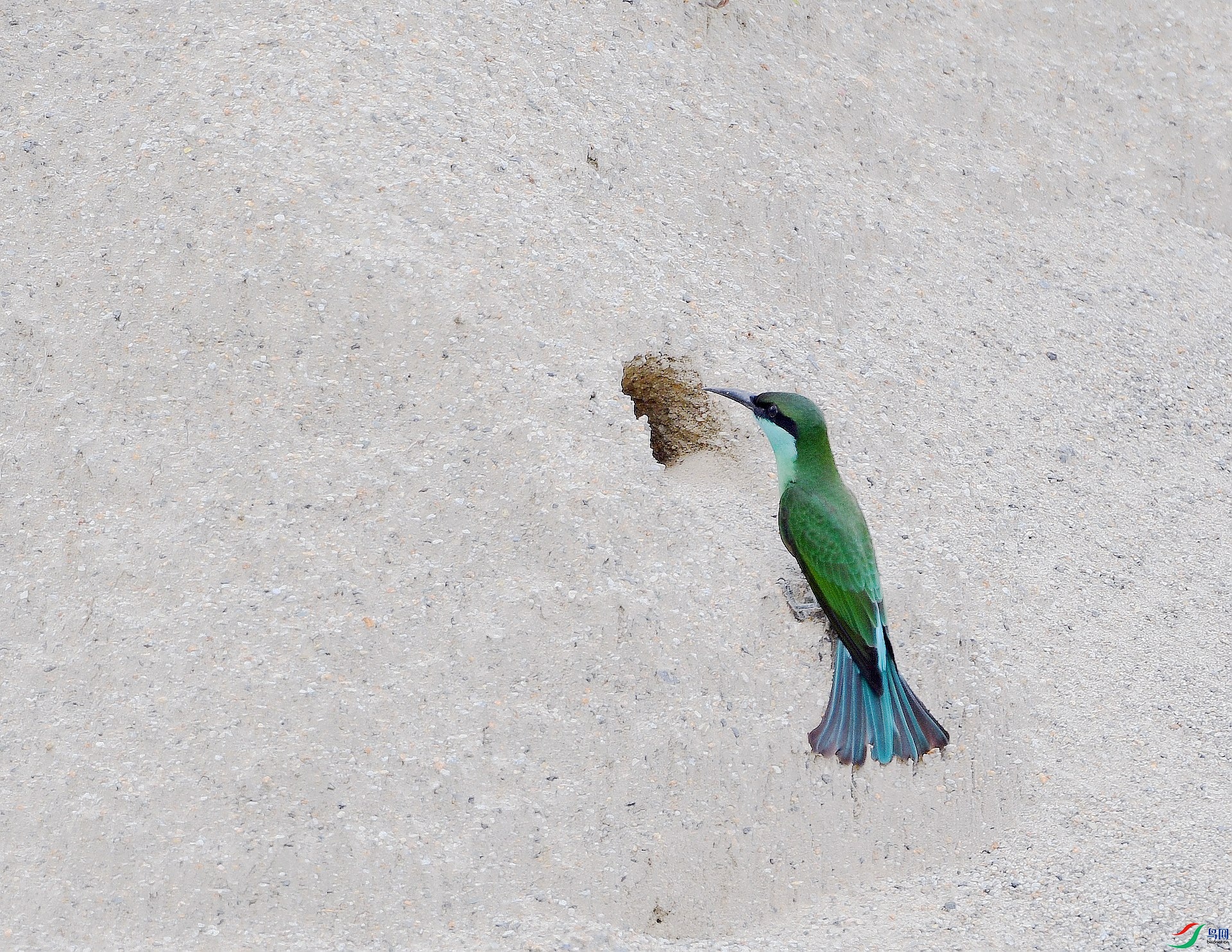 DSC_3279.jpg