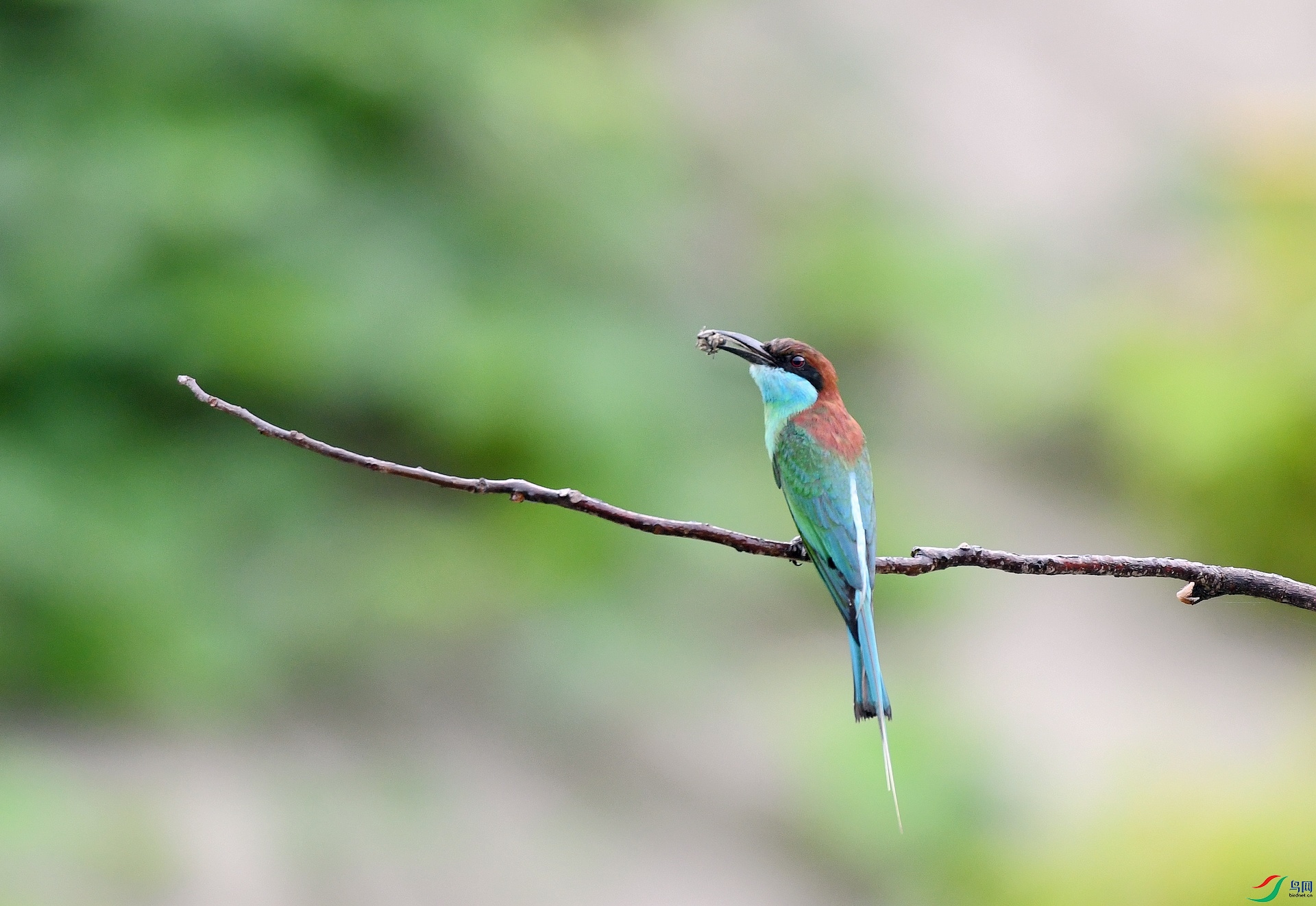 DSC_3303.jpg