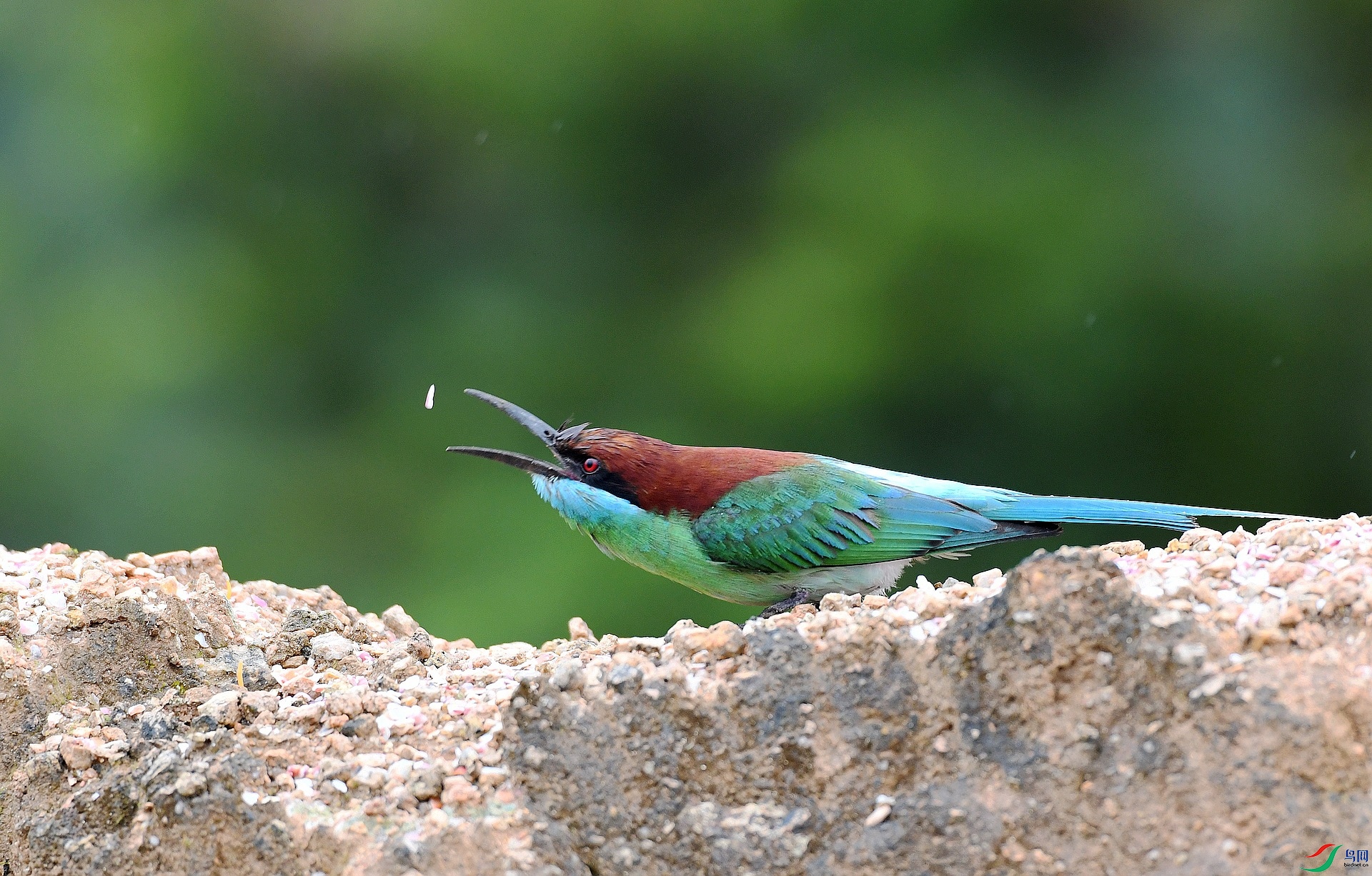 DSC_5569.jpg