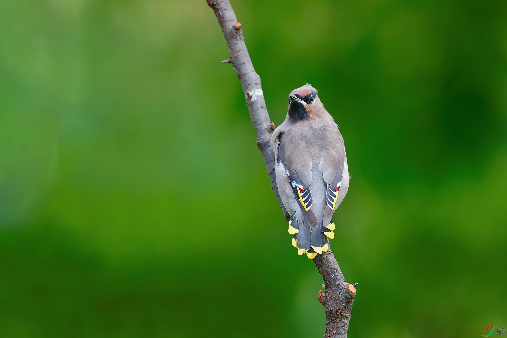 DSC_6957_DxO_DxO.jpga.jpg