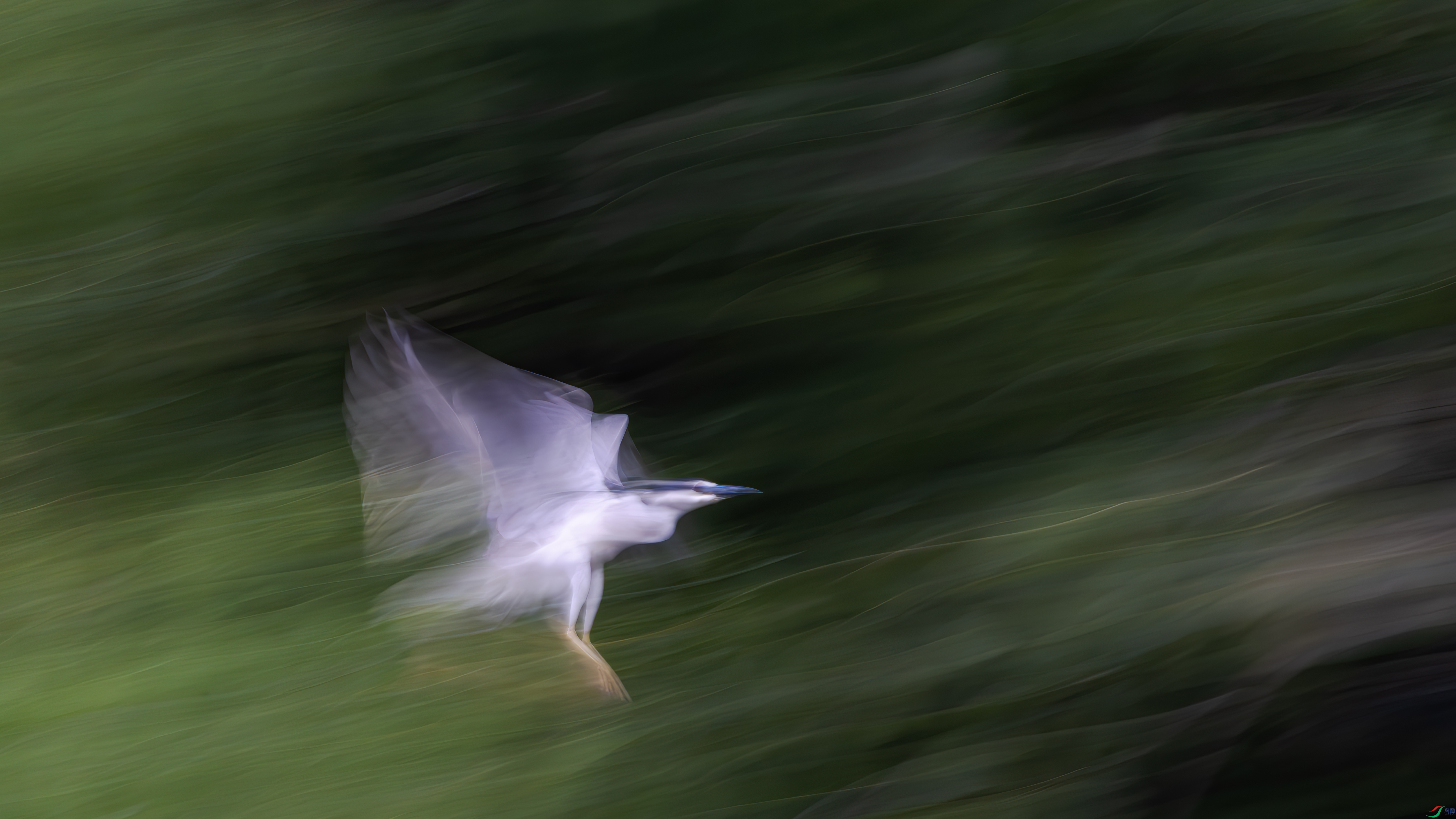 �w������(2)