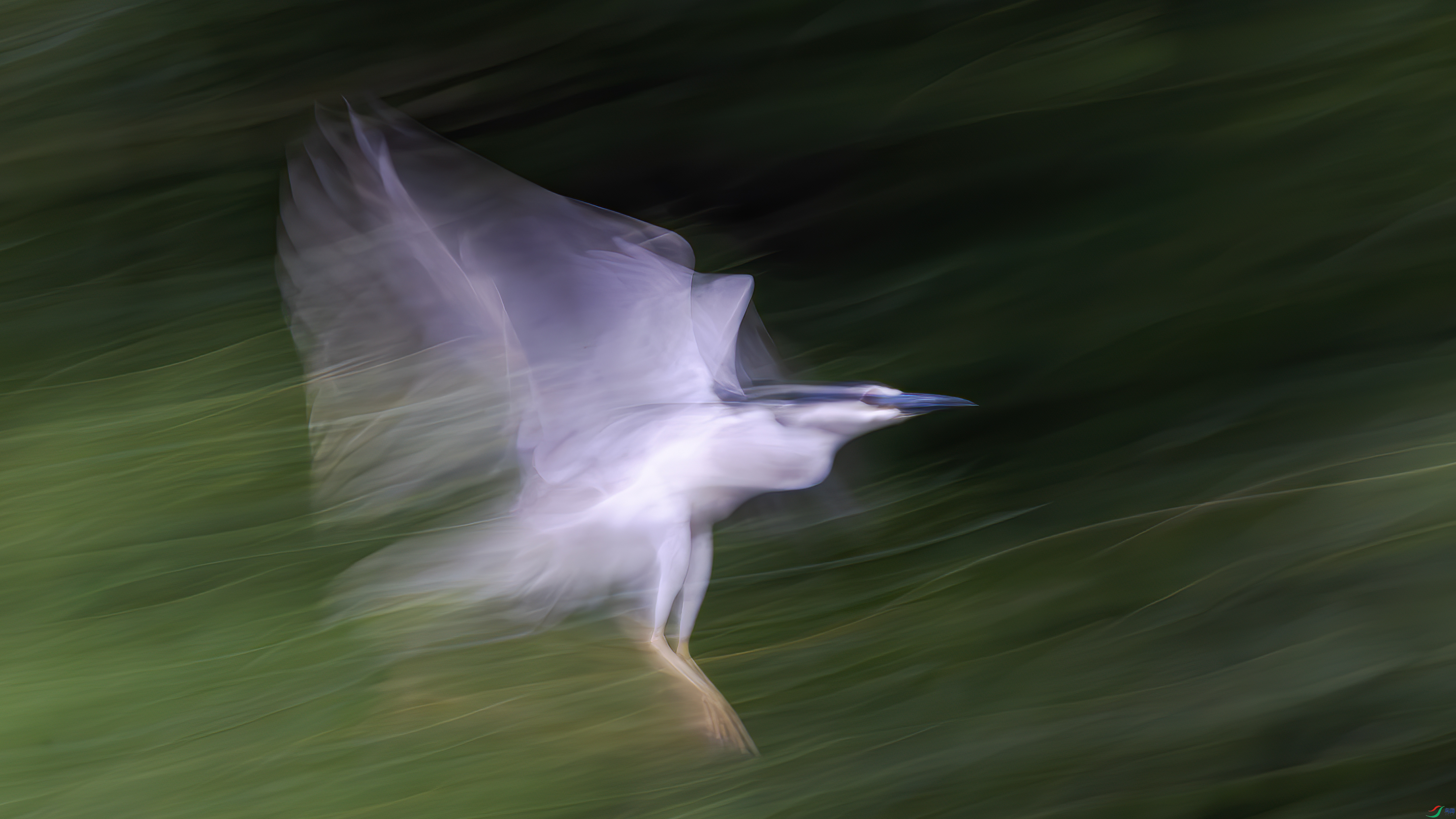 �w������(2)