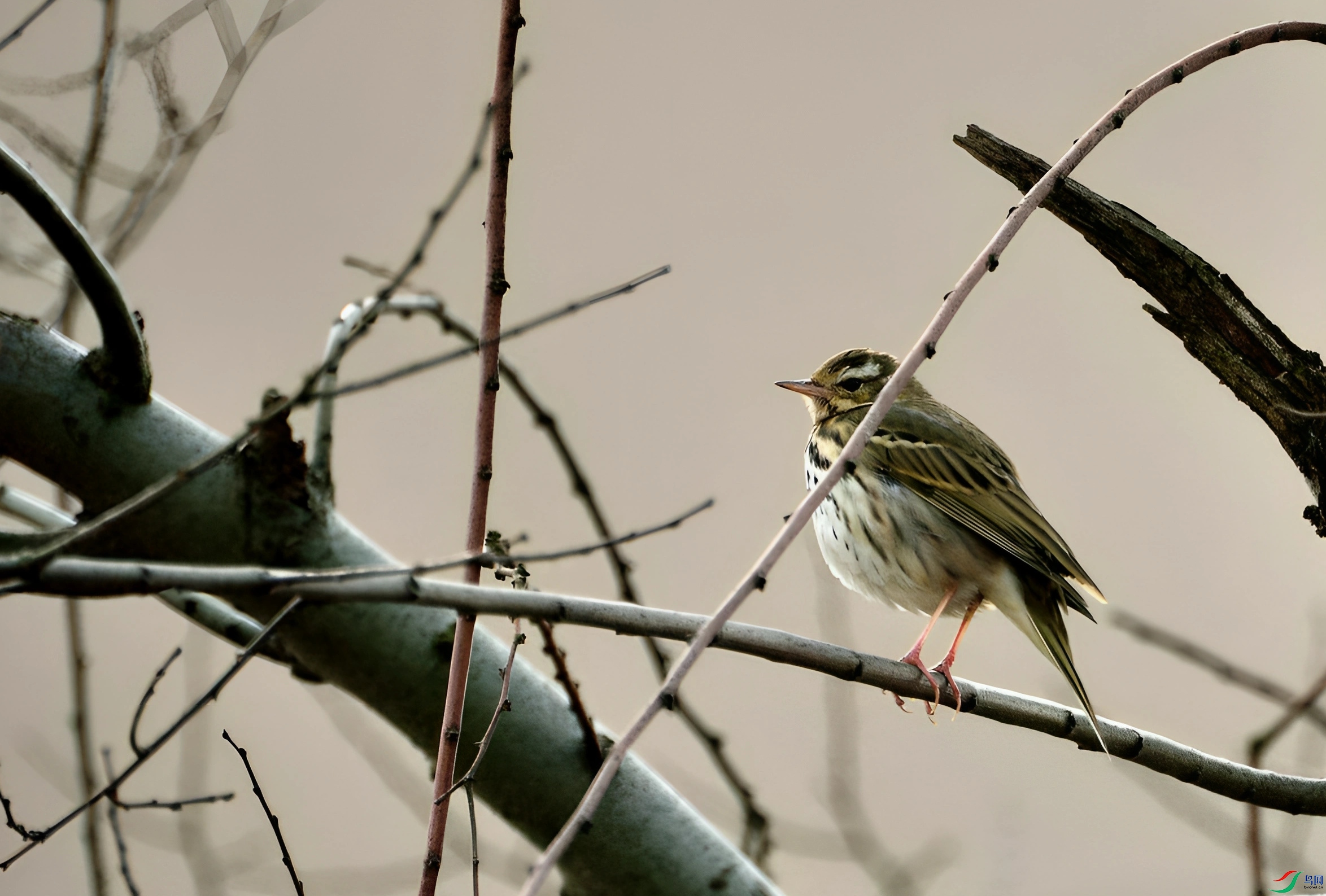 DSC_4057_����.jpg