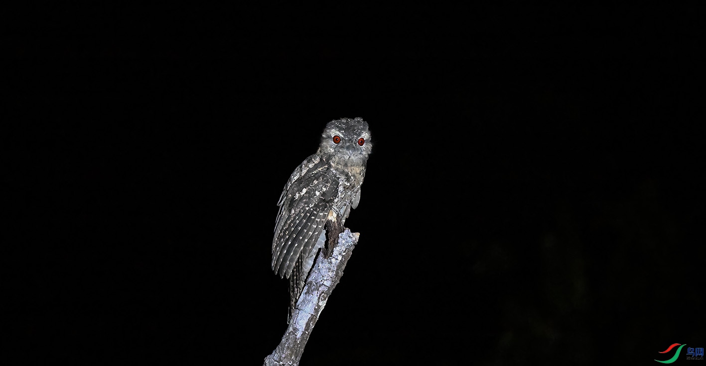 DSC_2836-2.jpg
