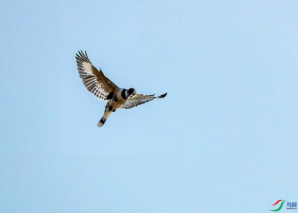 _DSC9407-.jpg