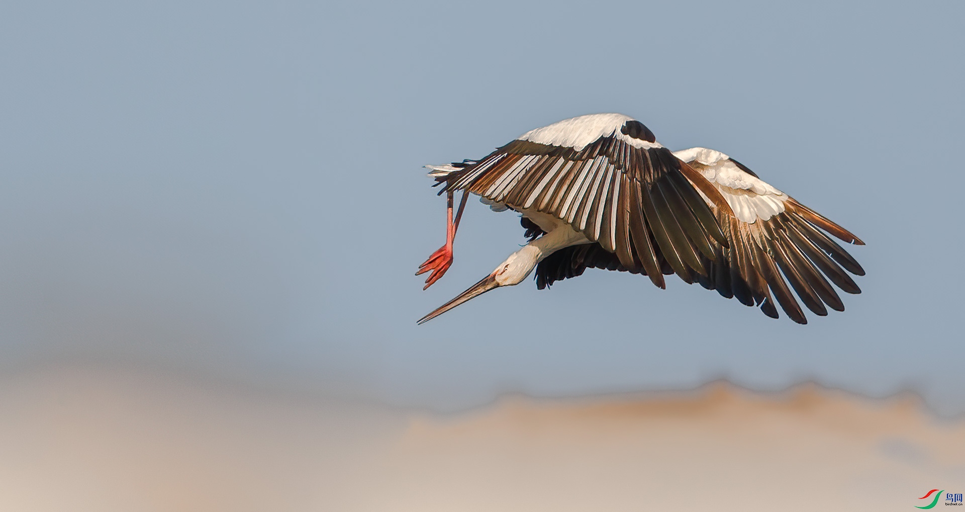 AQ4P1048-1.JPG