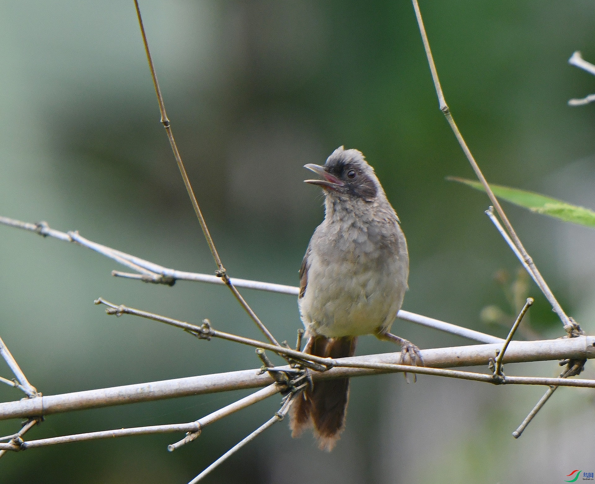 DSC_2802.jpg