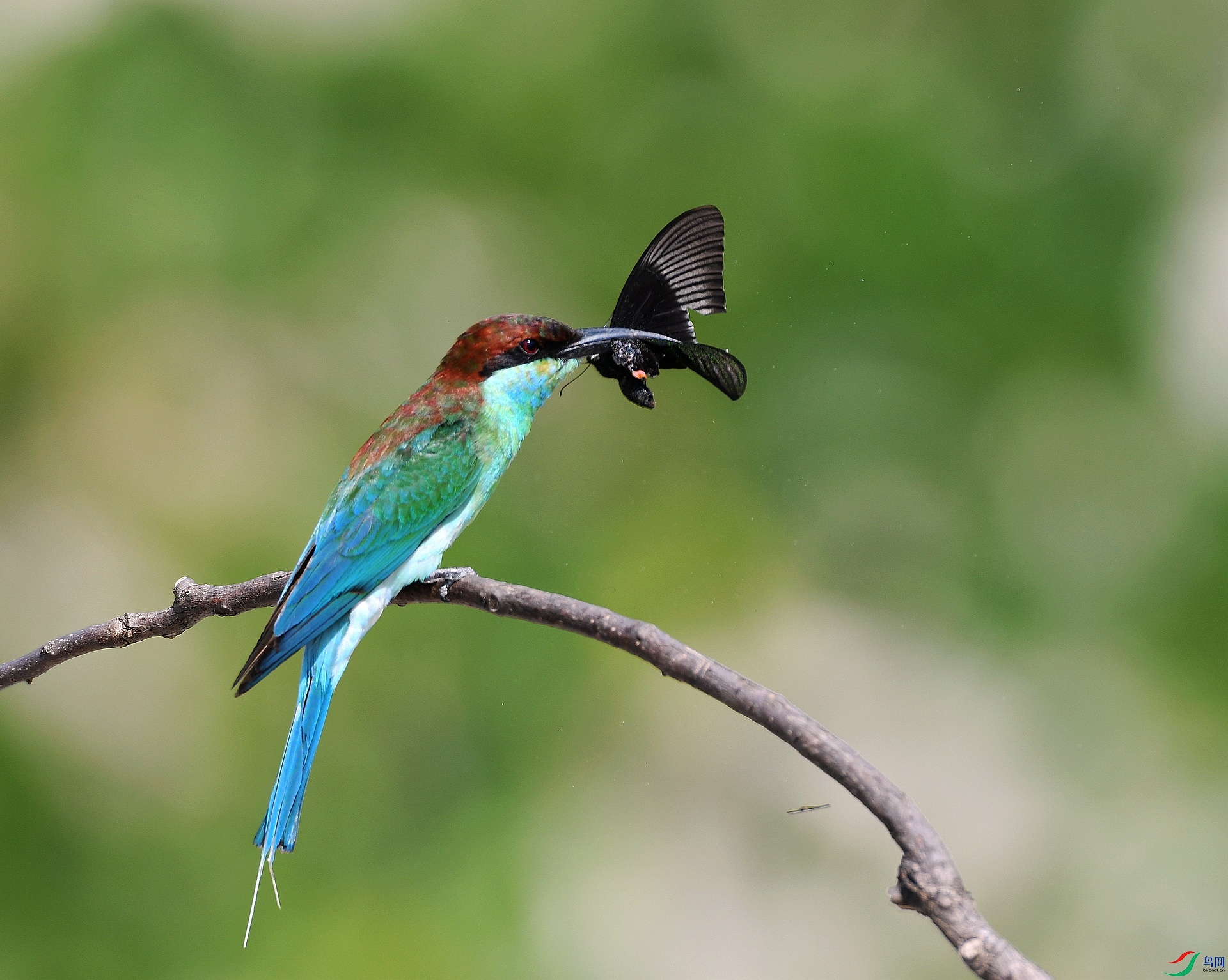 DSC_5264.jpg