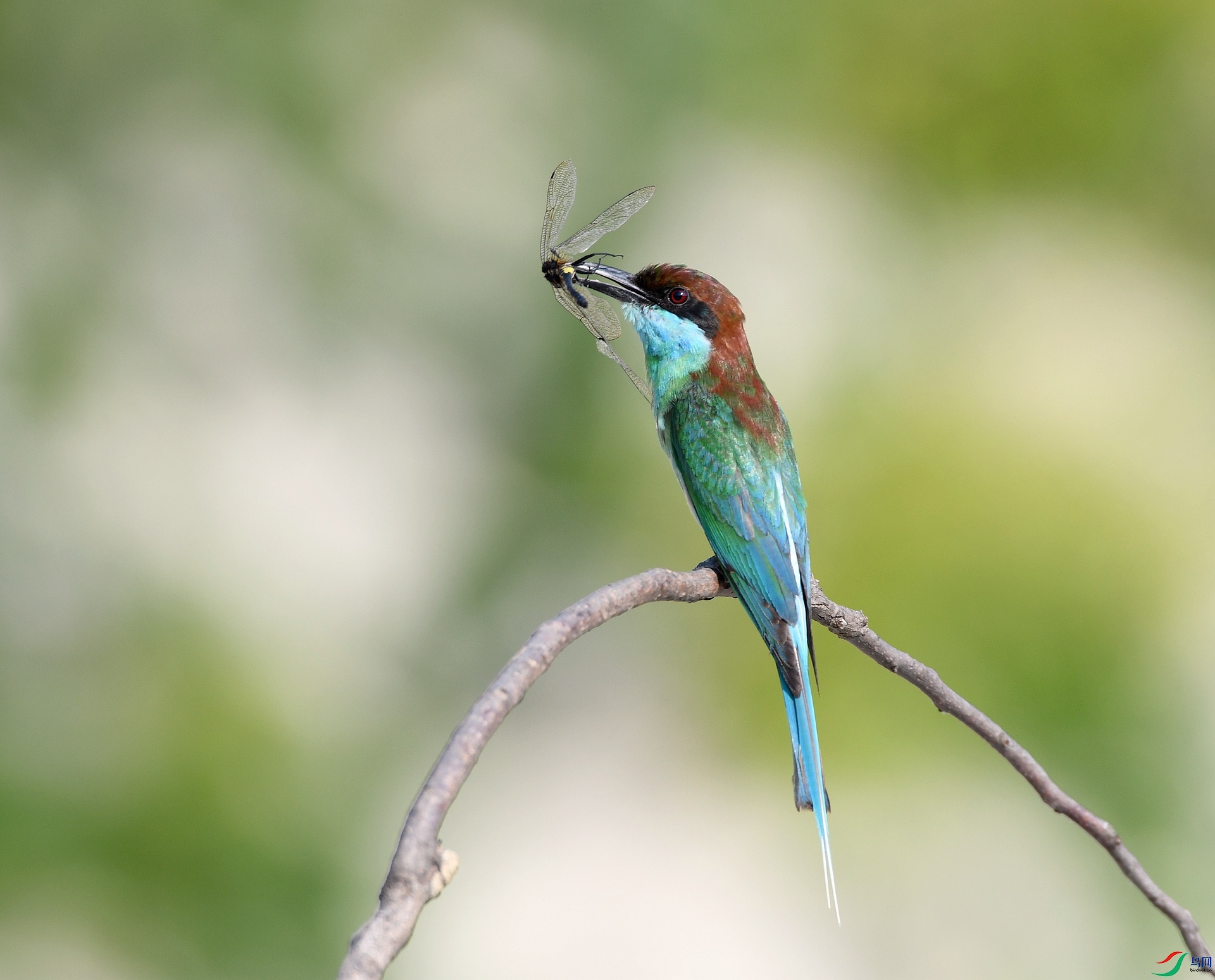 DSC_2948.jpg