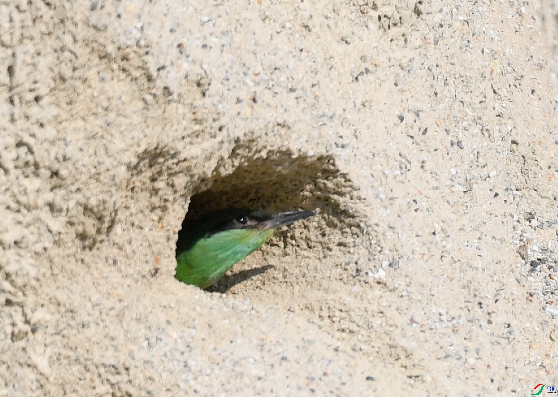 DSC_2803.jpg