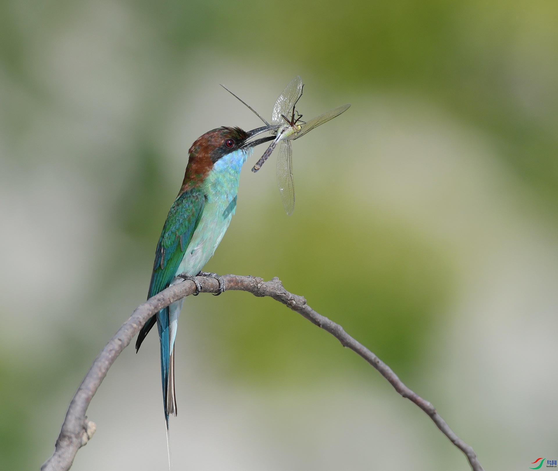 DSC_3036.jpg