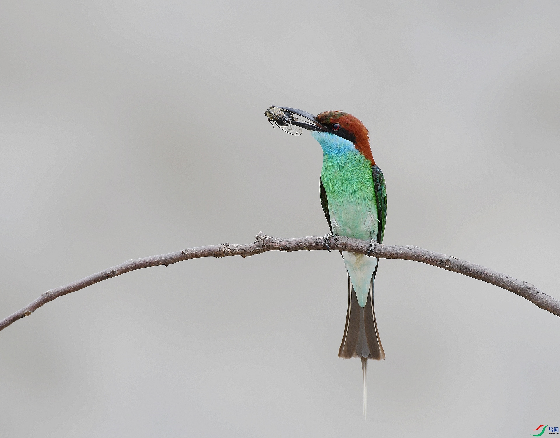 DSC_5279.jpg