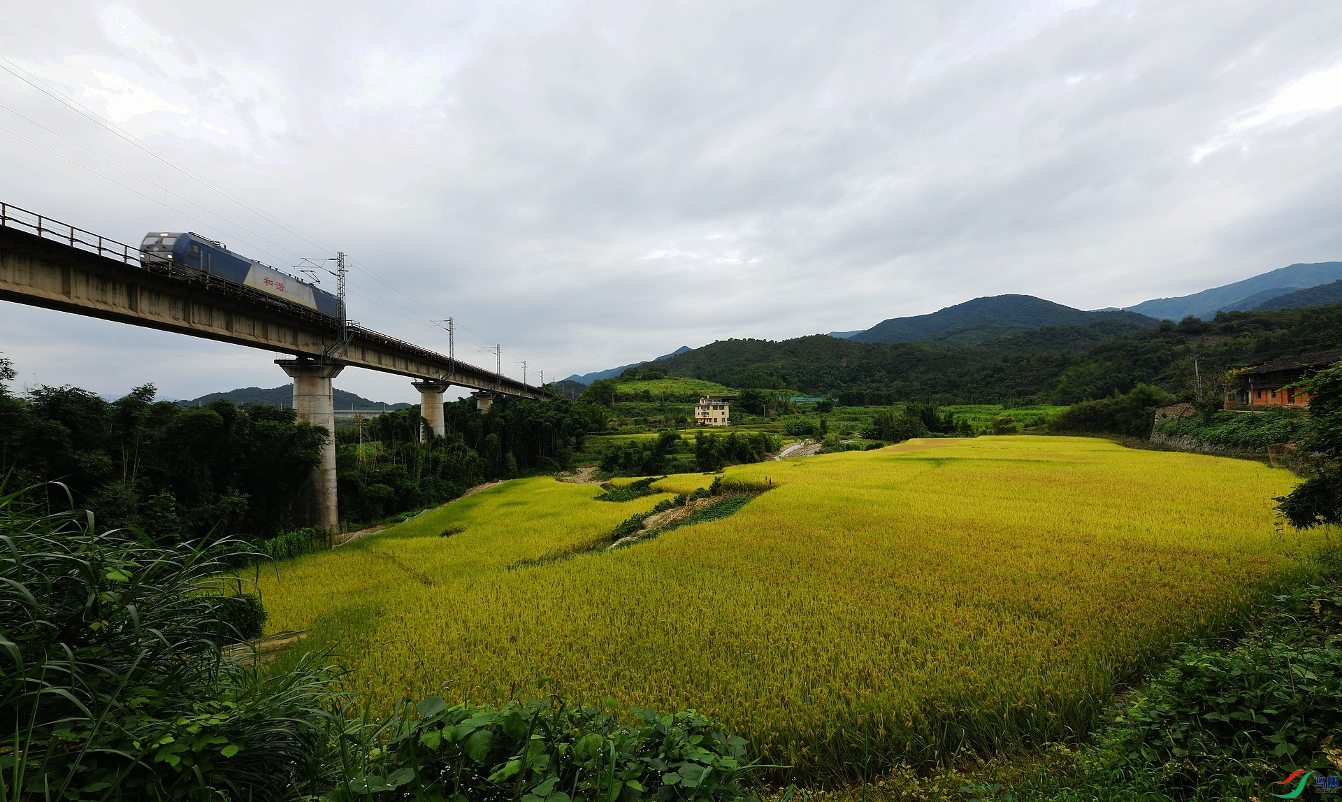 DSC_3042.jpg