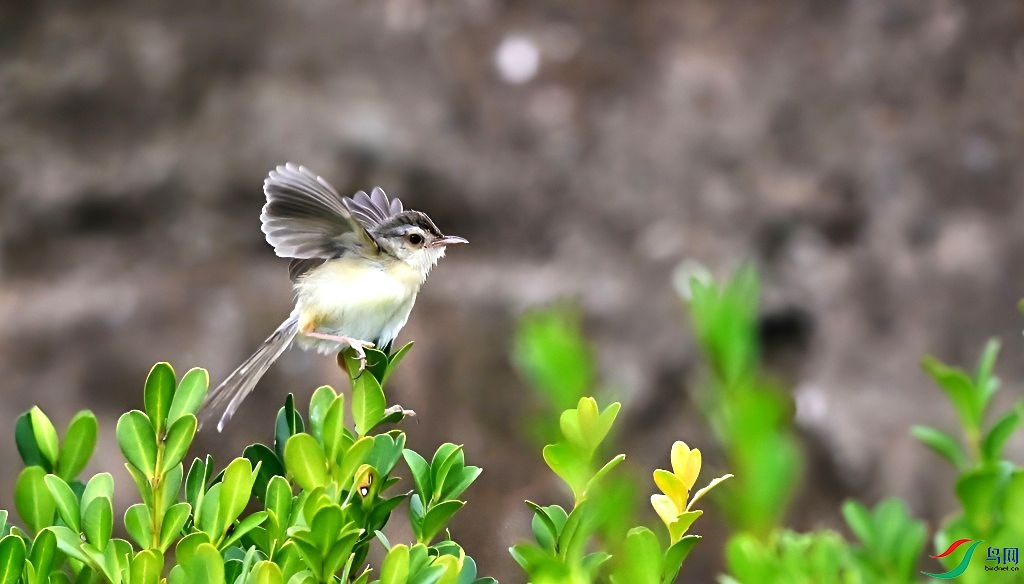 DSC_3494.JPG