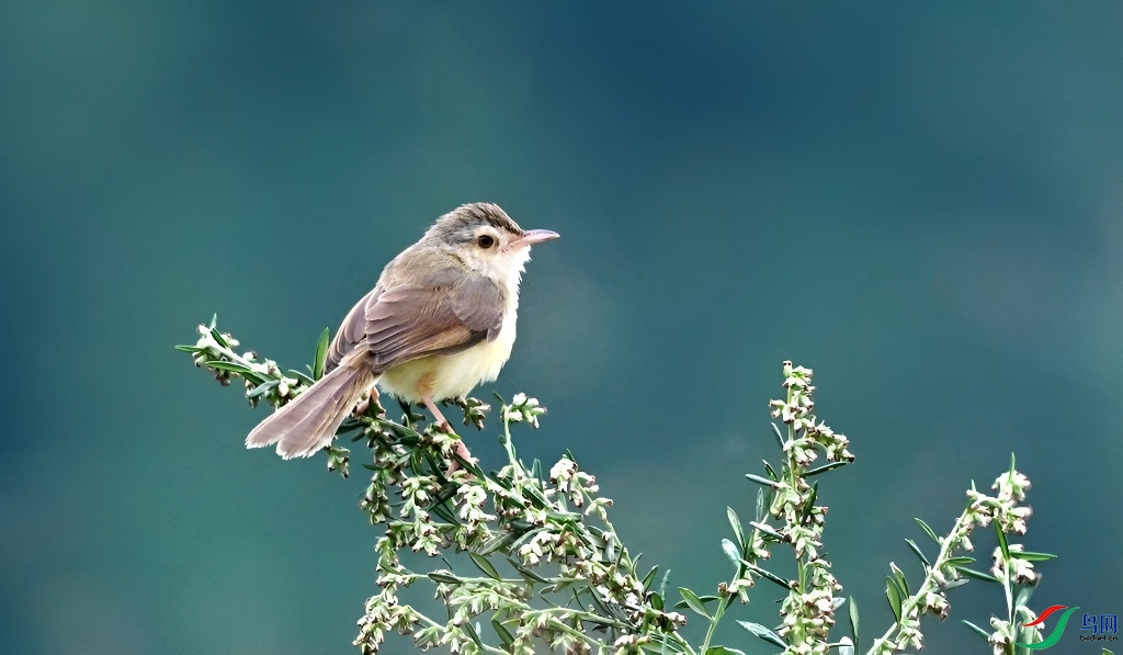 DSC_3973.JPG