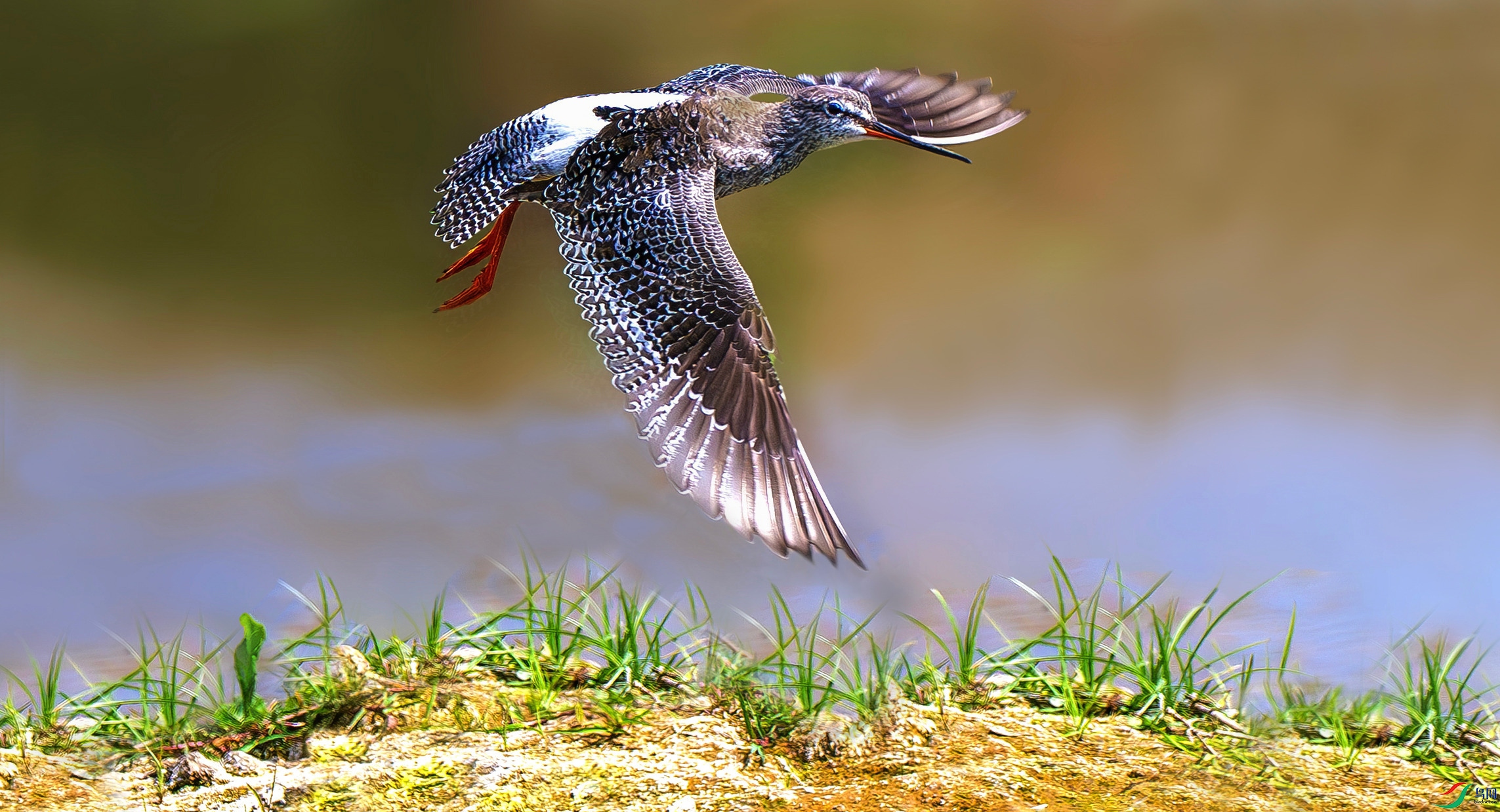 _ABD2008_����_����.jpg