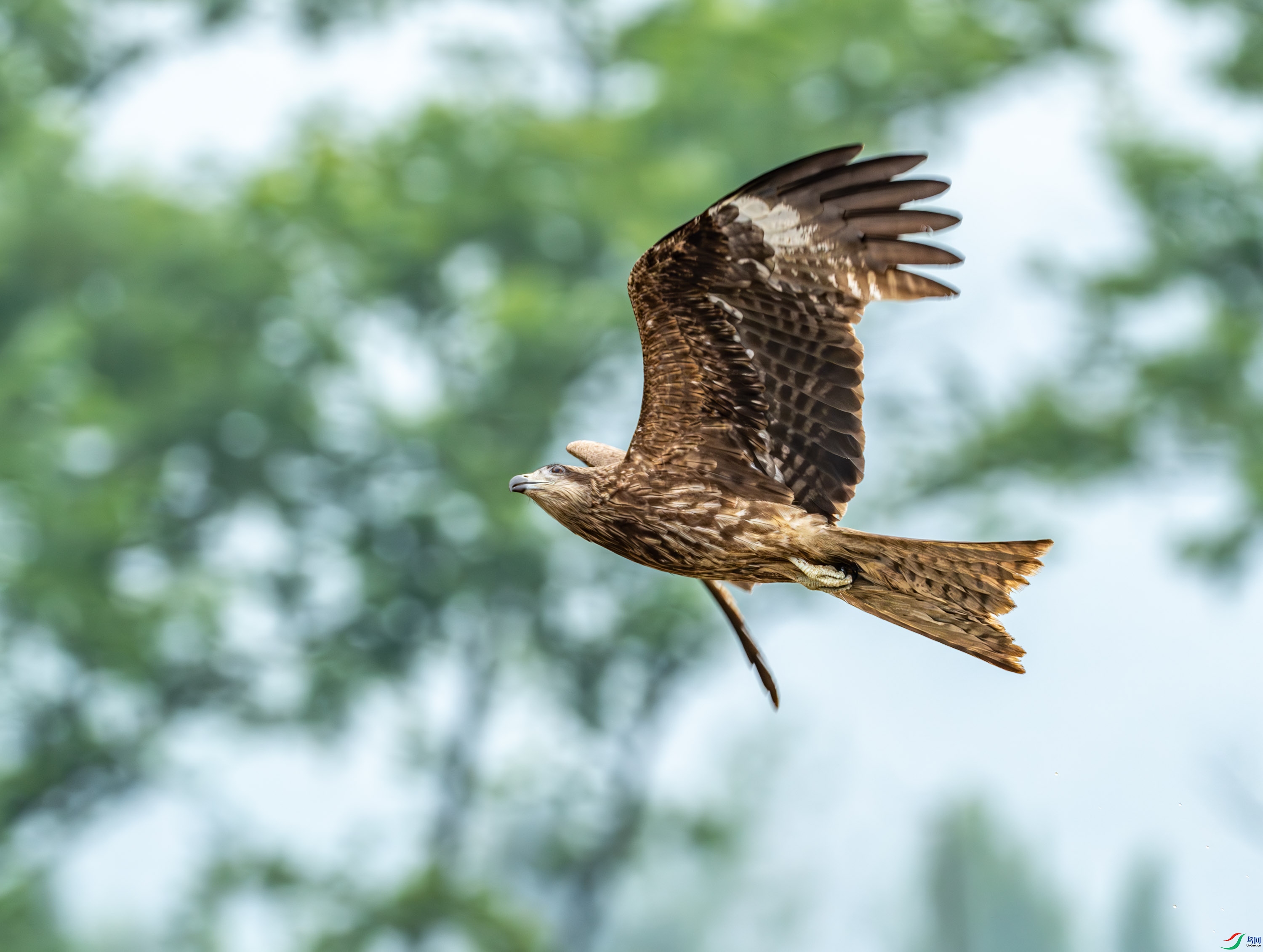 ��� (87 - 253).jpg