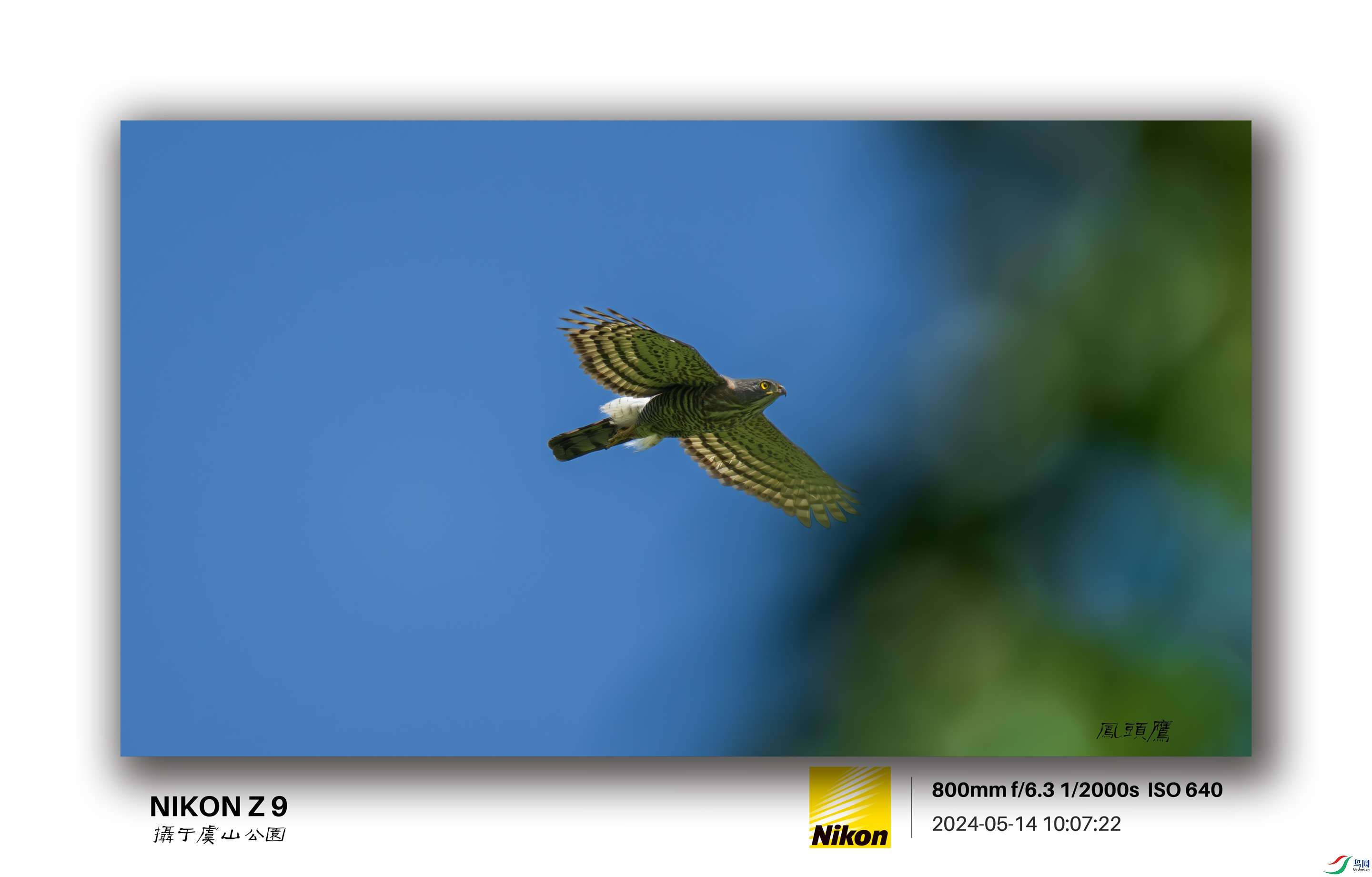 _DSC1776gkls--.jpg