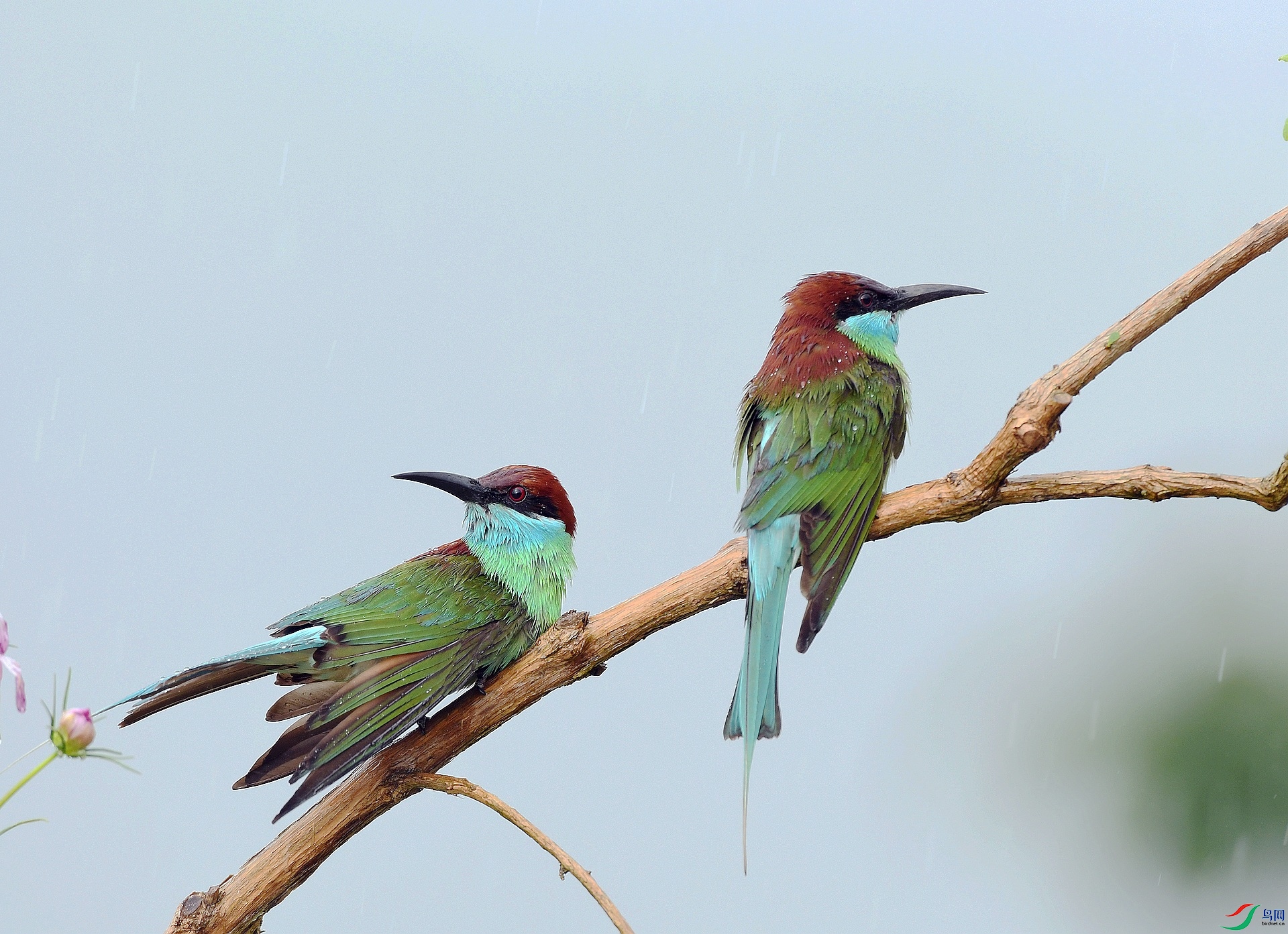 DSC_1575.jpg