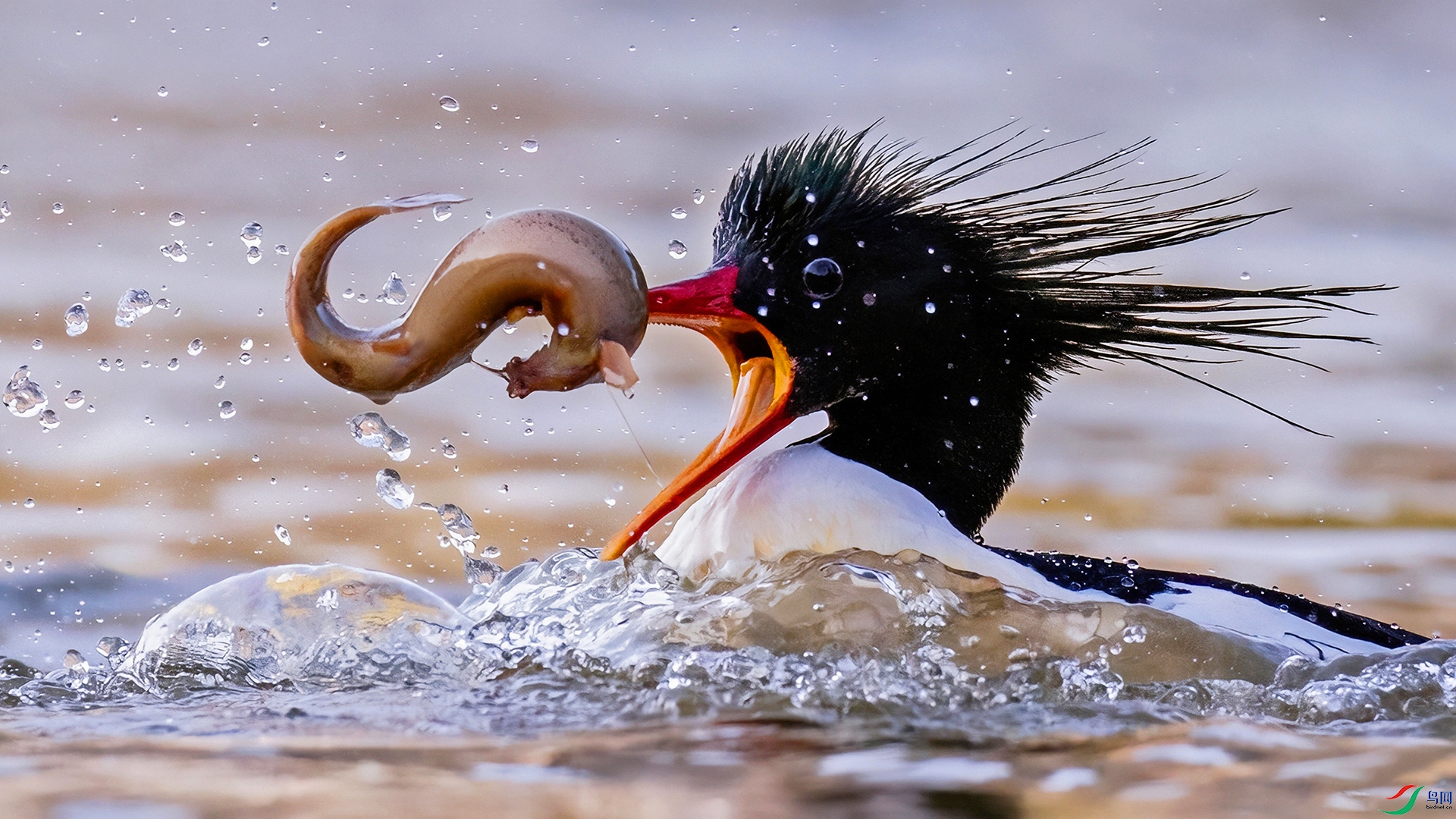 ��ɽ��ɳѼ314ˮ������.jpg