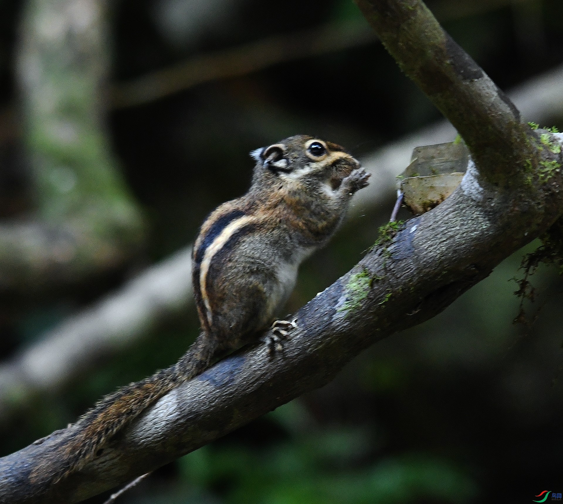 DSC_2332.jpg