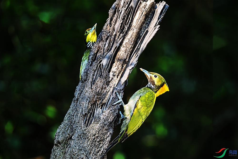_DSC7569a.jpg