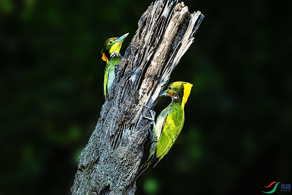 _DSC7768.jpg