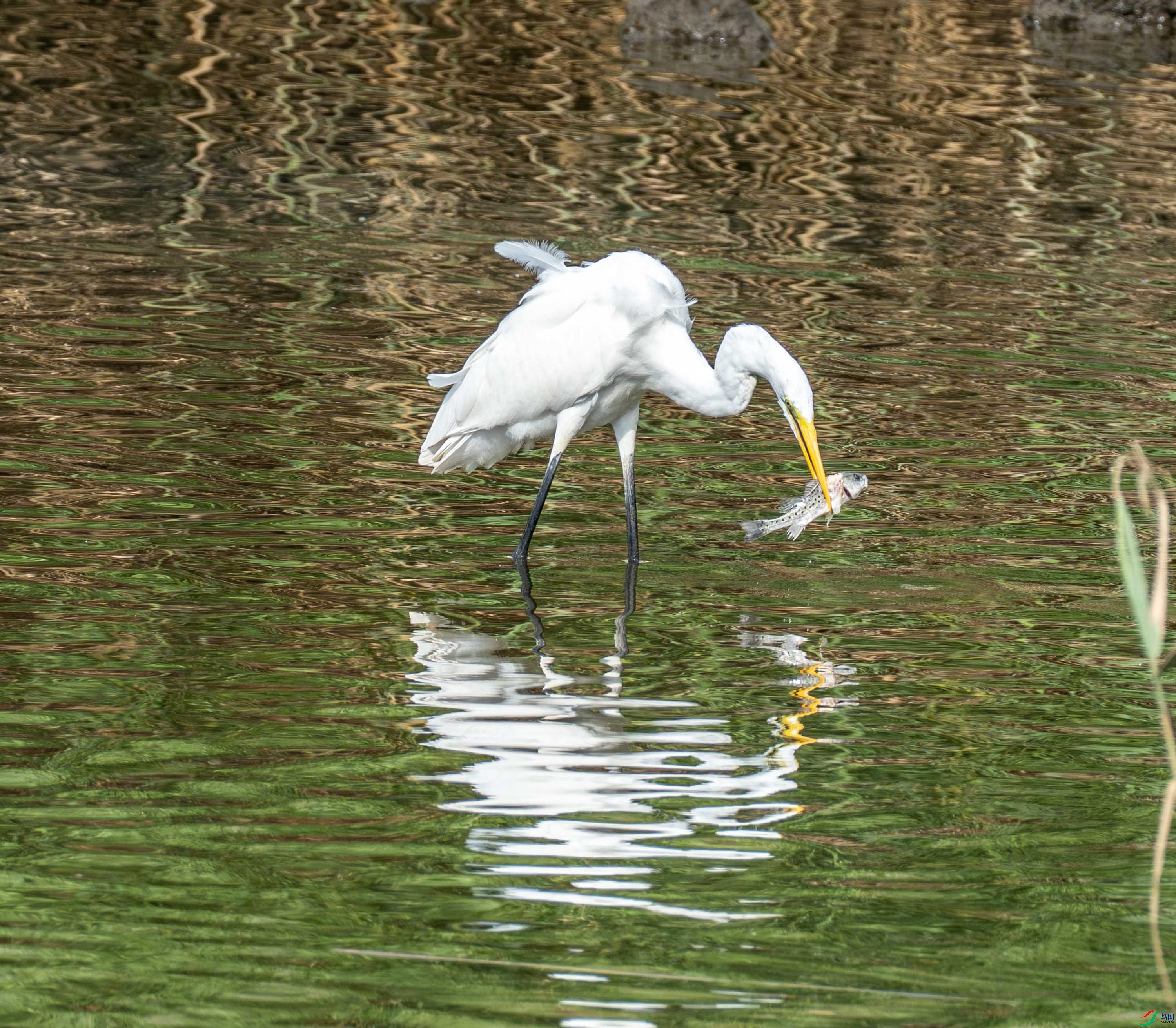 �а��� (29 - 39).jpg