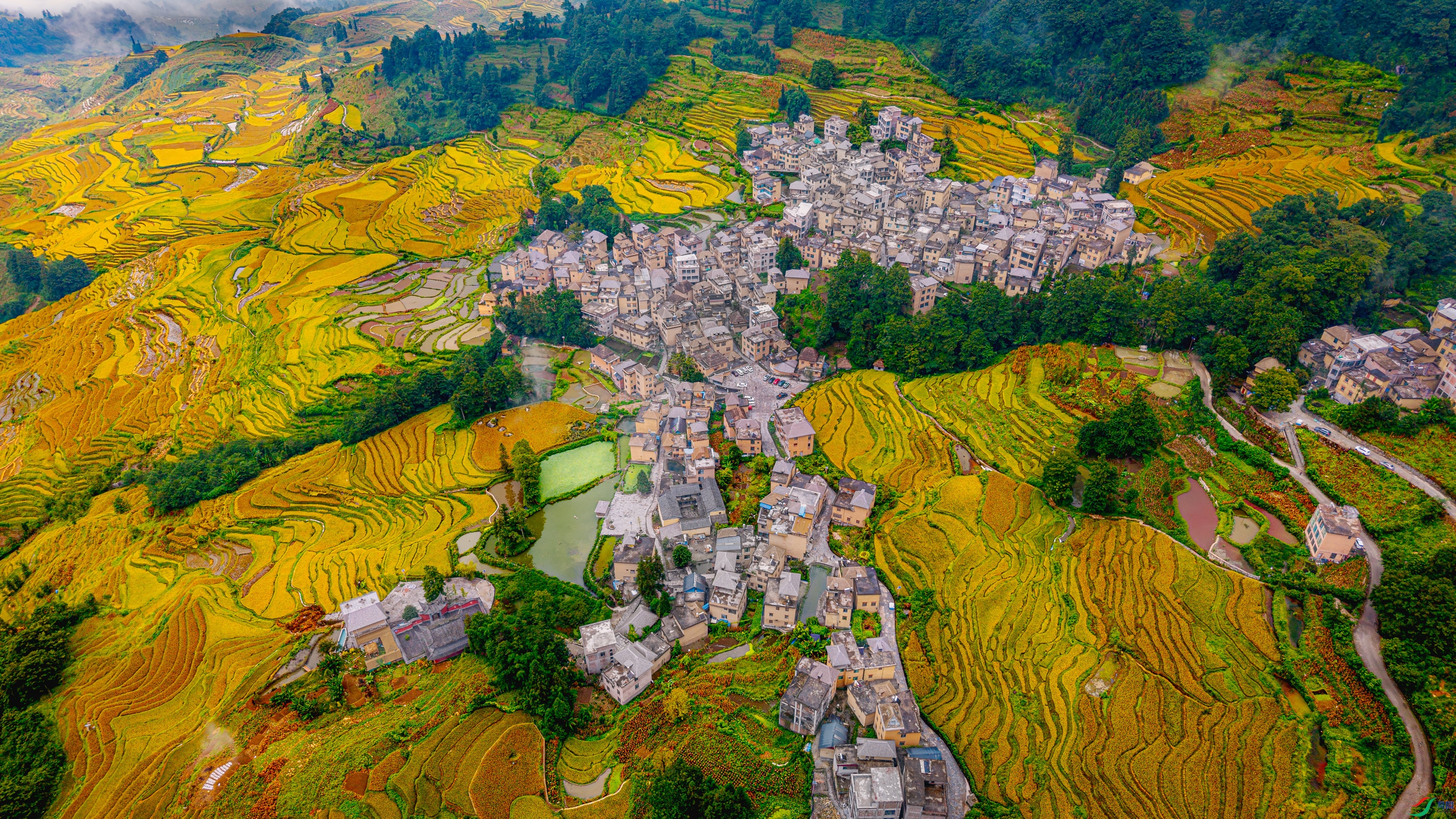 DJI_20260911080442_0031_D-22.jpg