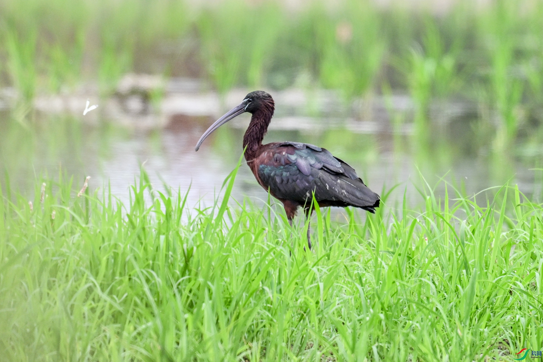 DSC_8048.JPG
