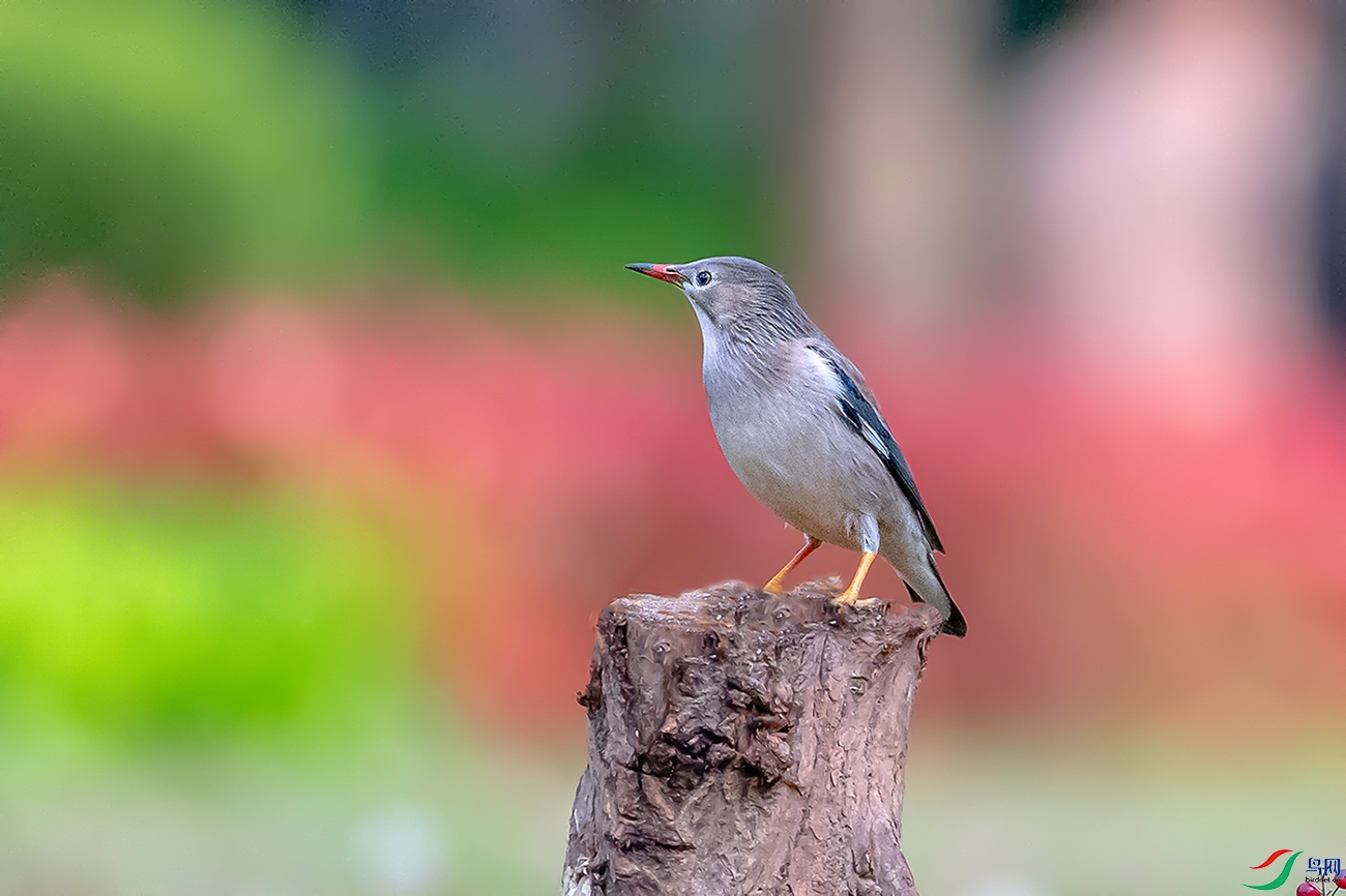 DSC_9482A.jpg