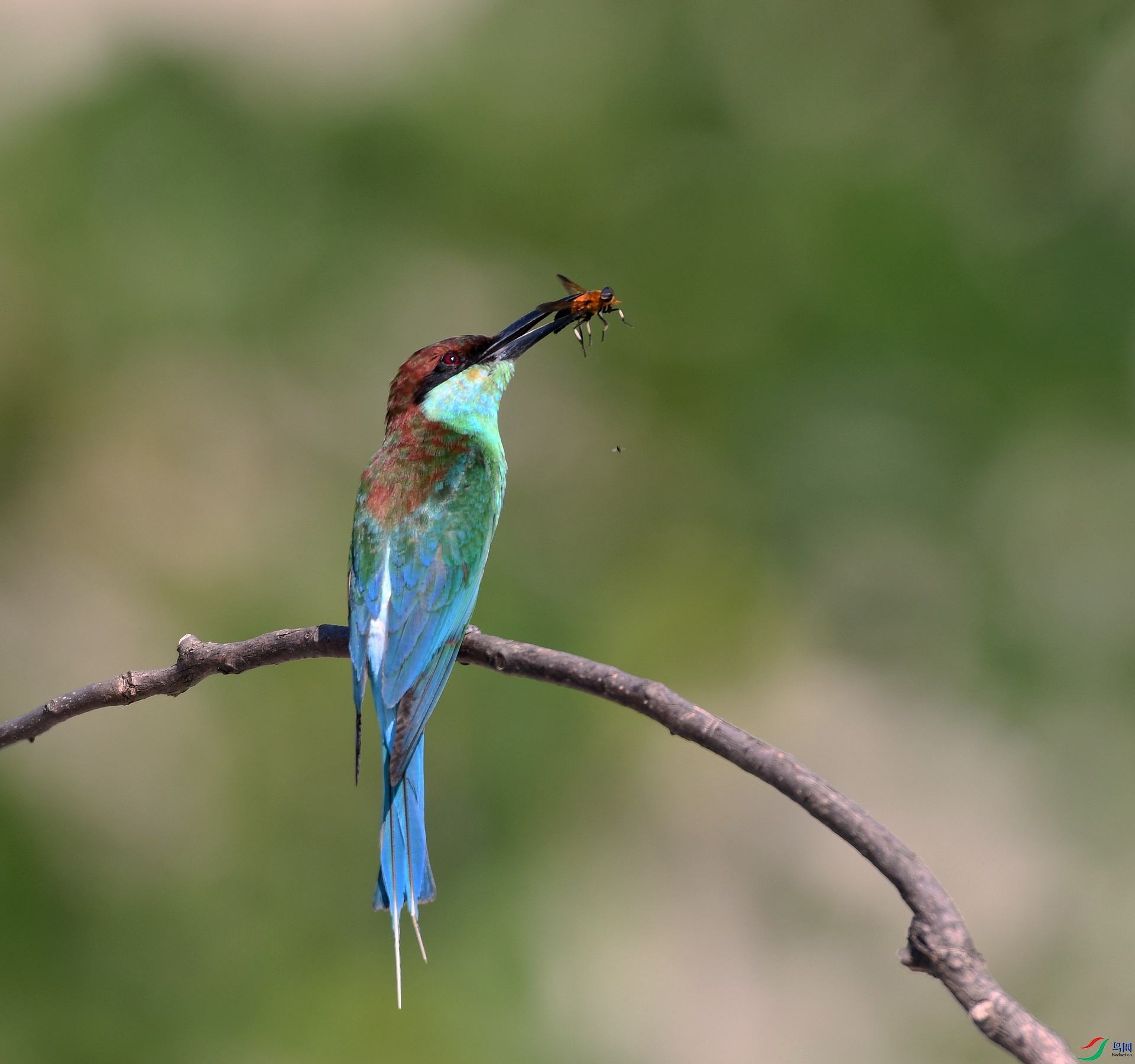 DSC_5147.jpg