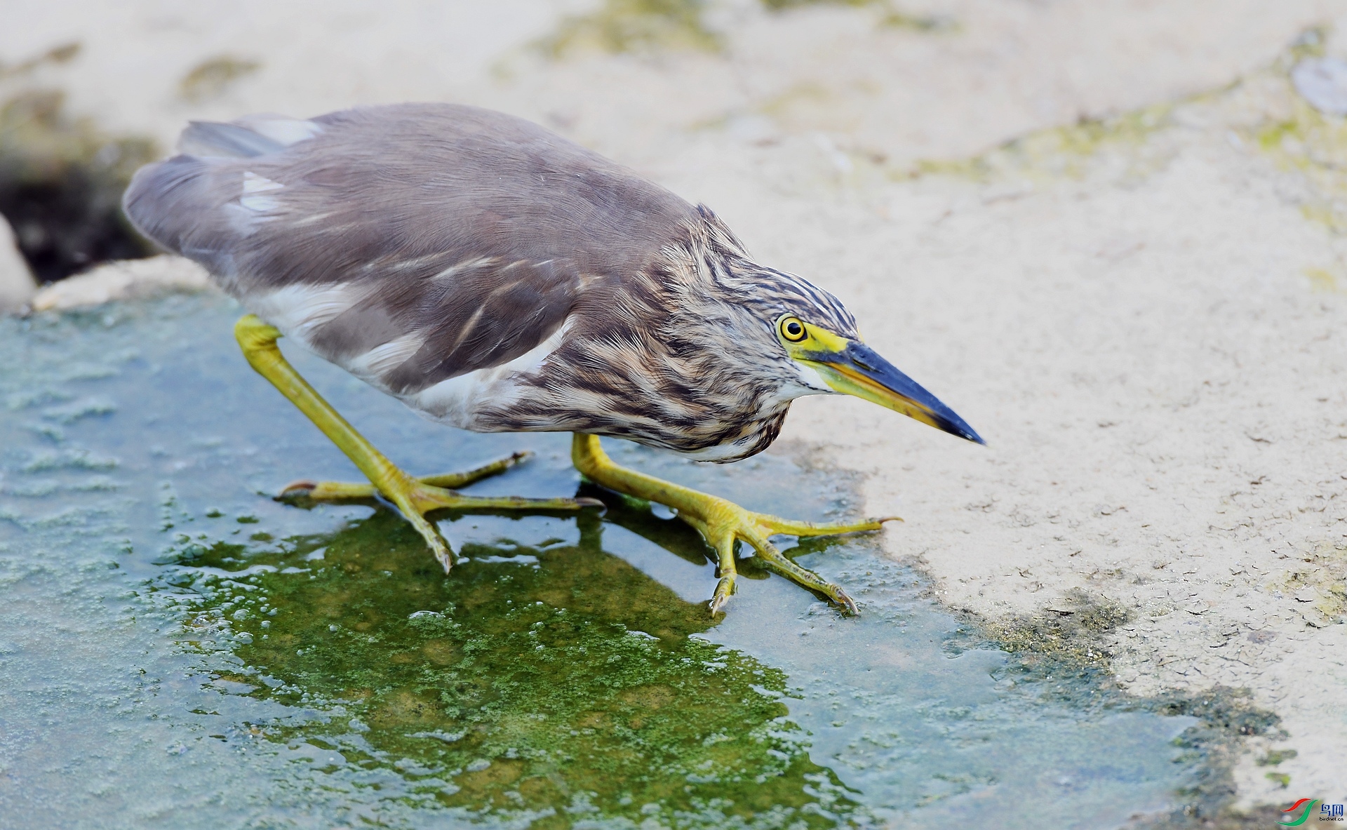 DSC_0795.jpg
