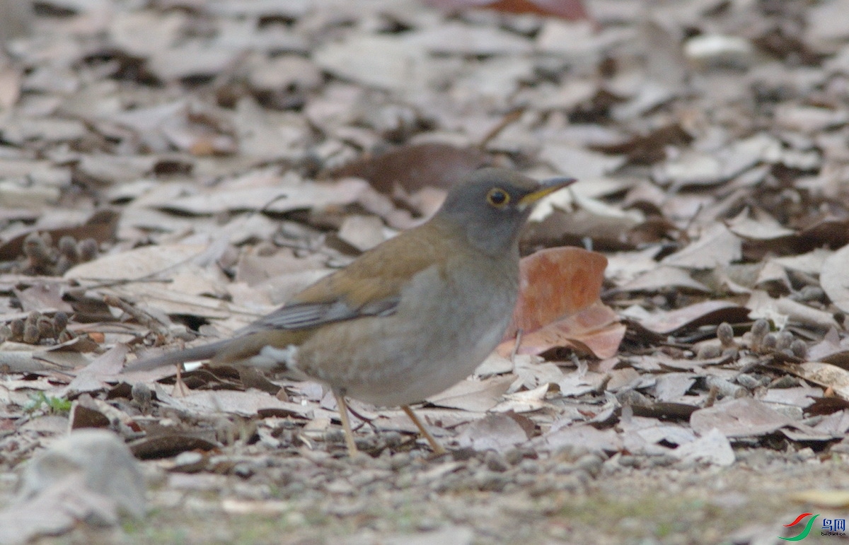 DSC_9577z_������С.jpg