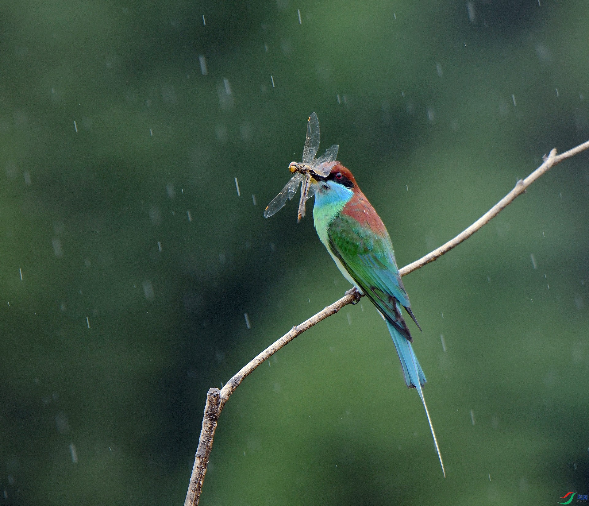 DSC_8747.jpg