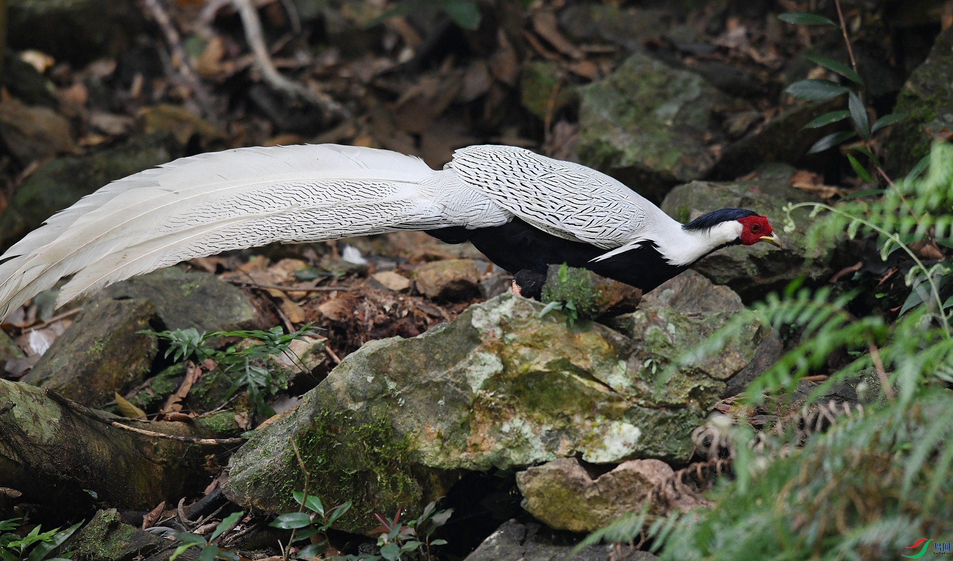 DSC_8346.jpg