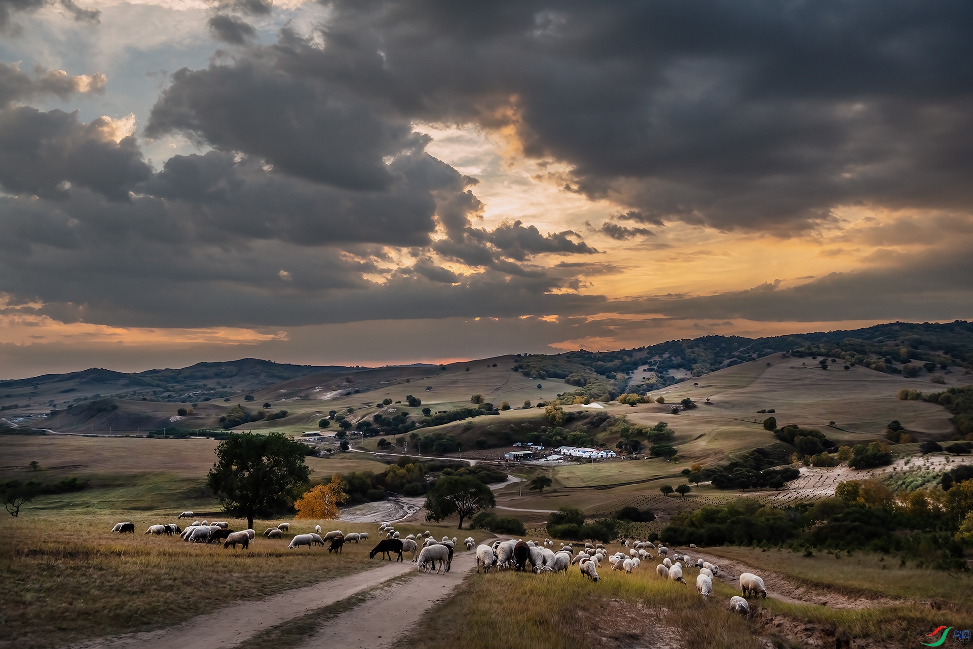 DSC_3382-1.jpg