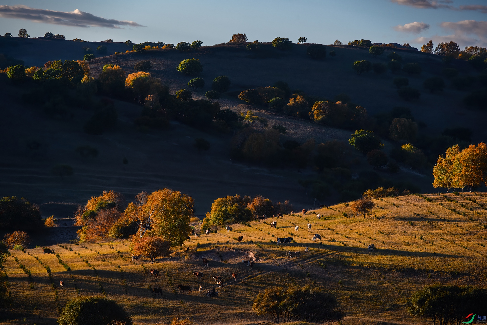 DSC_4244-1.jpg