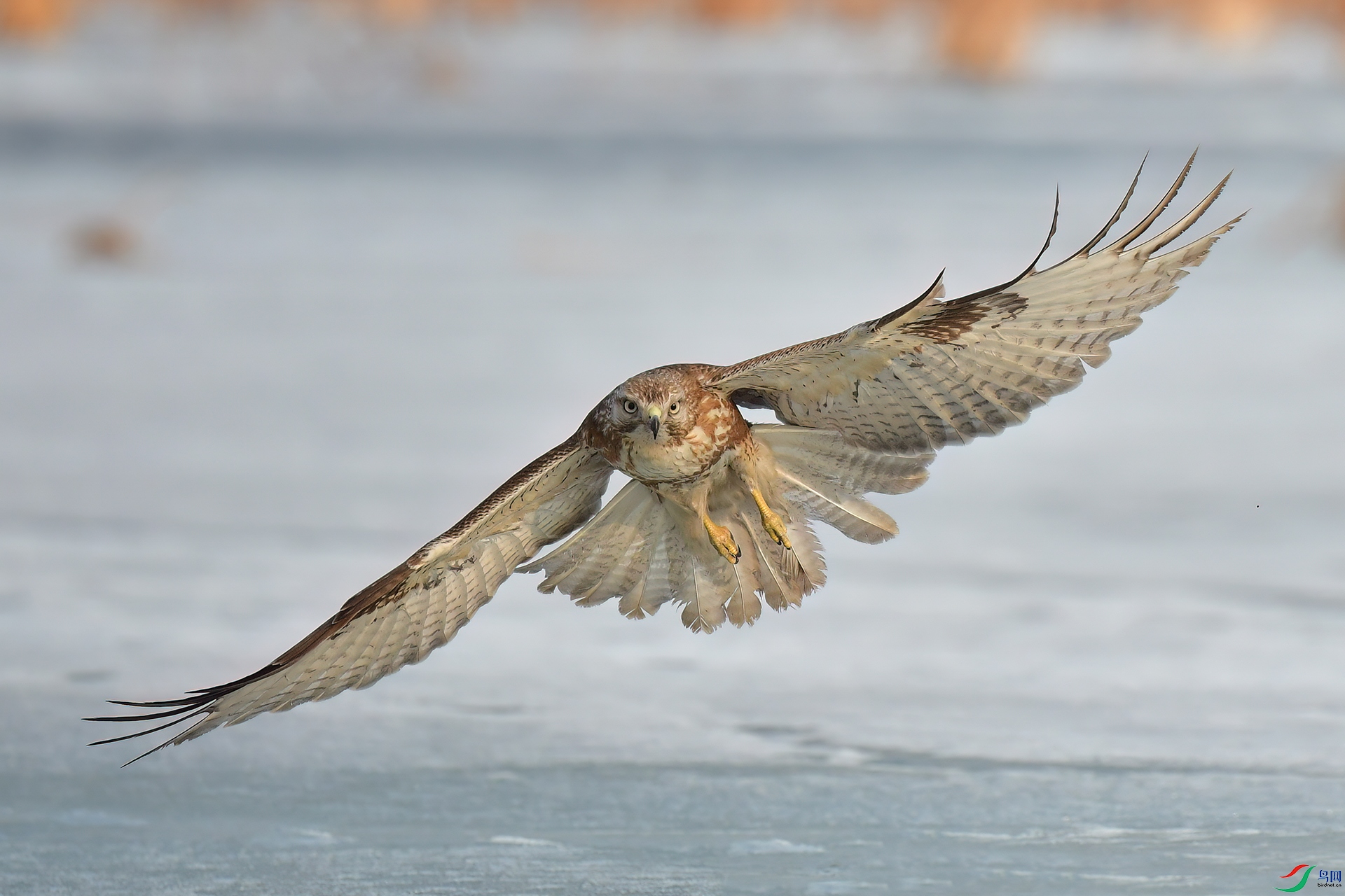 DSC_6361.jpg