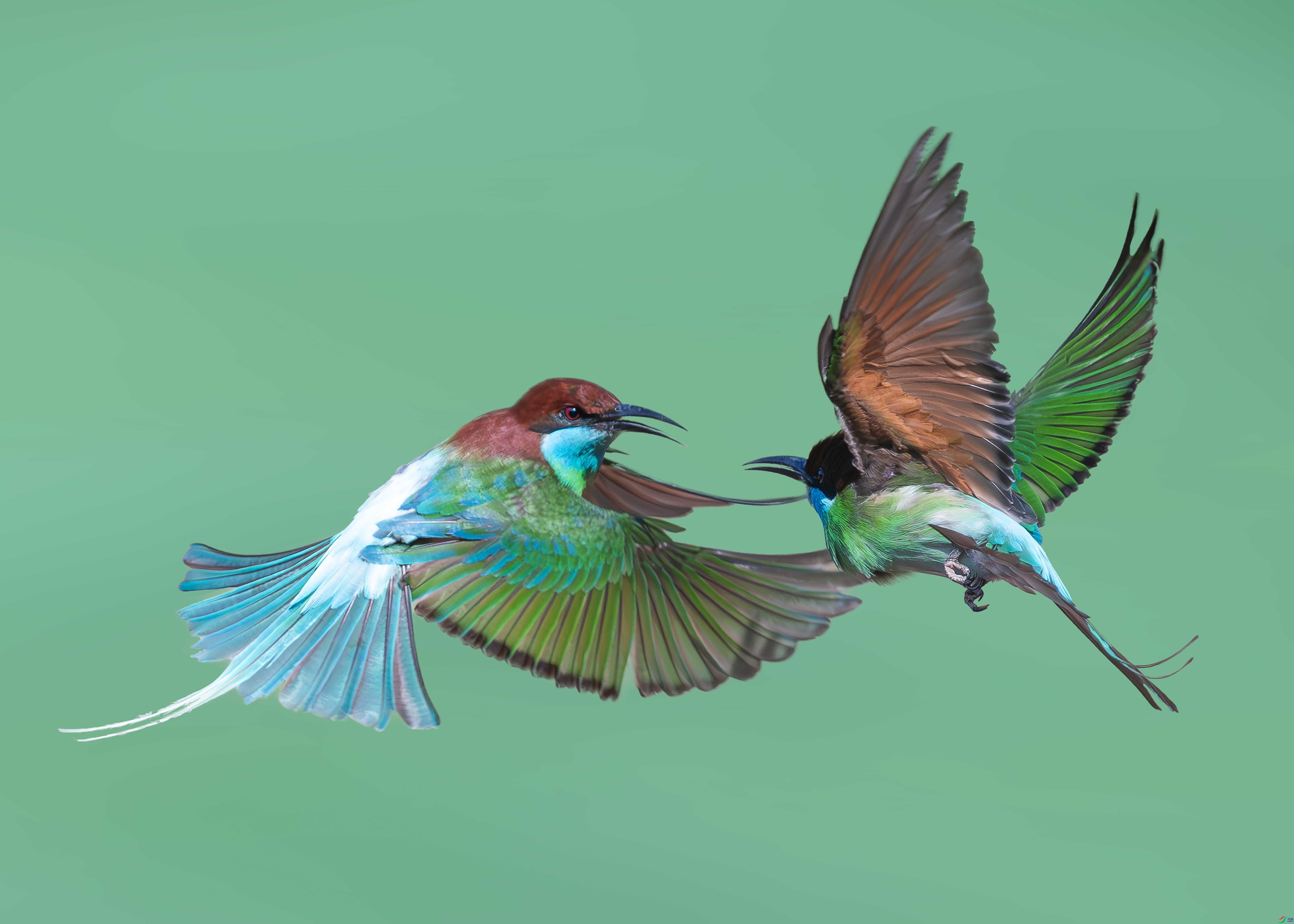10.1 ���Դ��ʦ��Ʒ  ����  �ٻ�2026��10��1�ջ�Ա��ҳ����.jpg