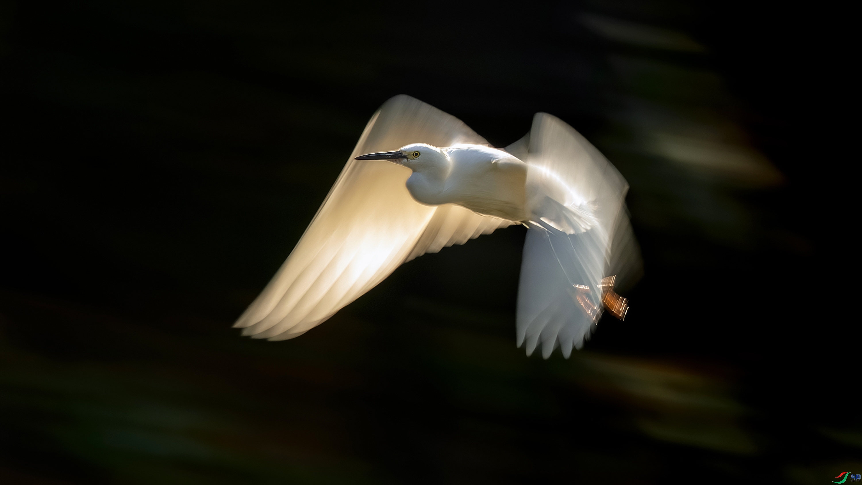 10.3 Hsia��ʦ��Ʒ  ���Ű���  �ٻ�2026��10��3�հ�����ҳ����.jpg
