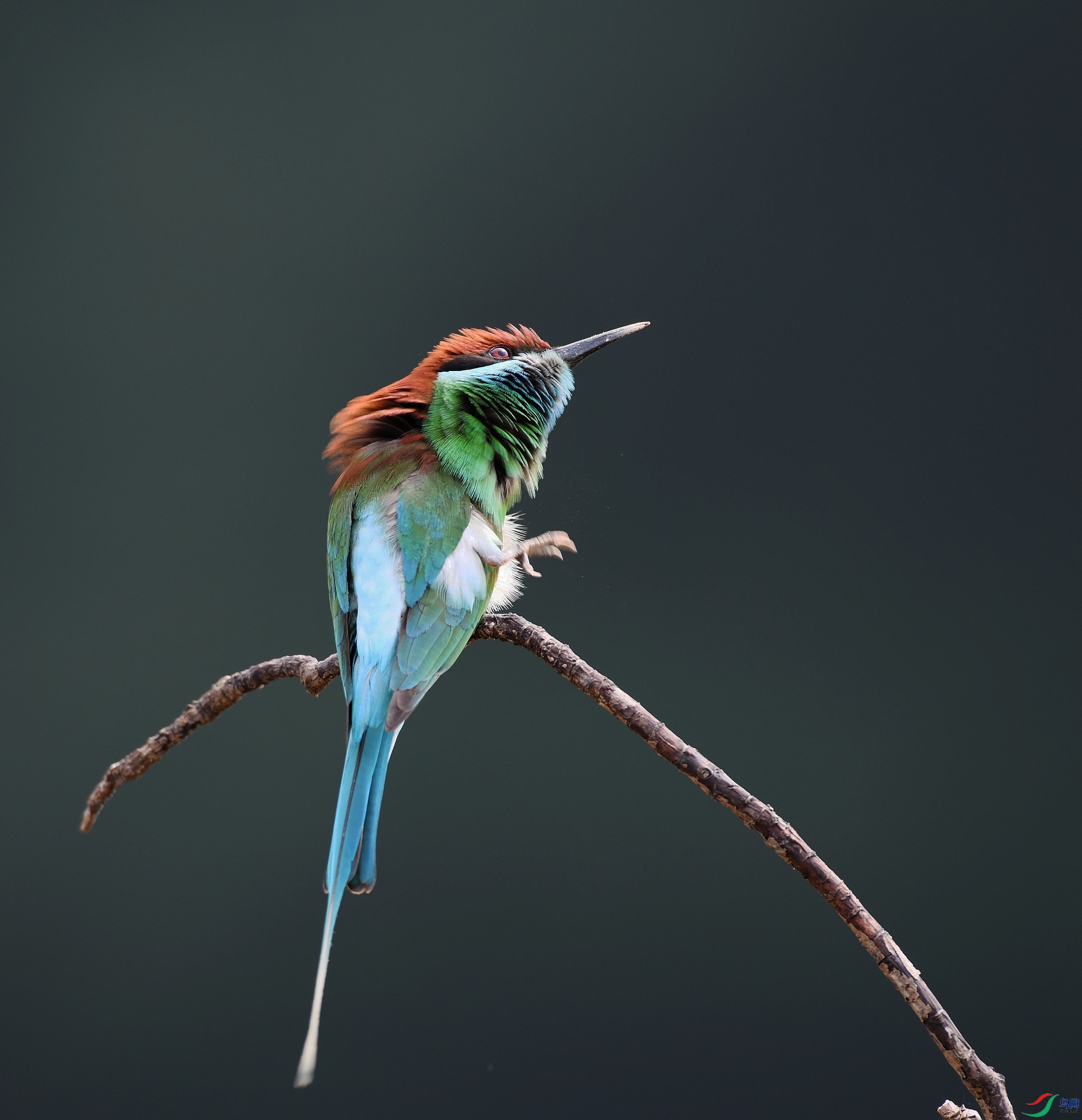 DSC_3923.jpg