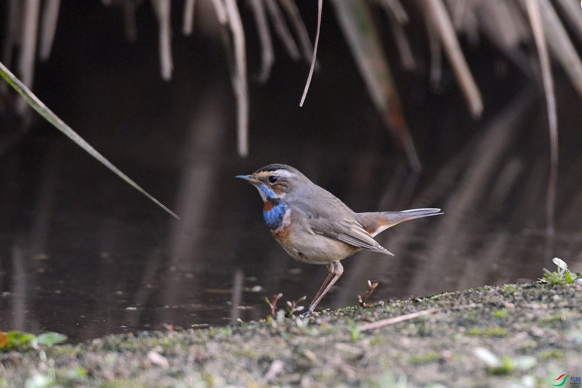 DSC_9015.jpg