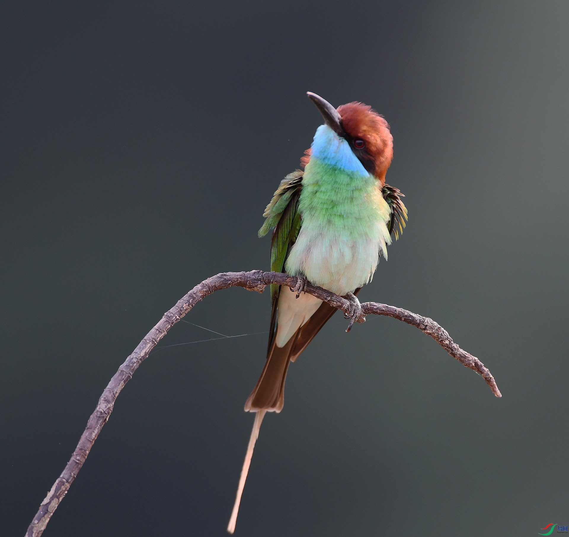 DSC_6785.jpg