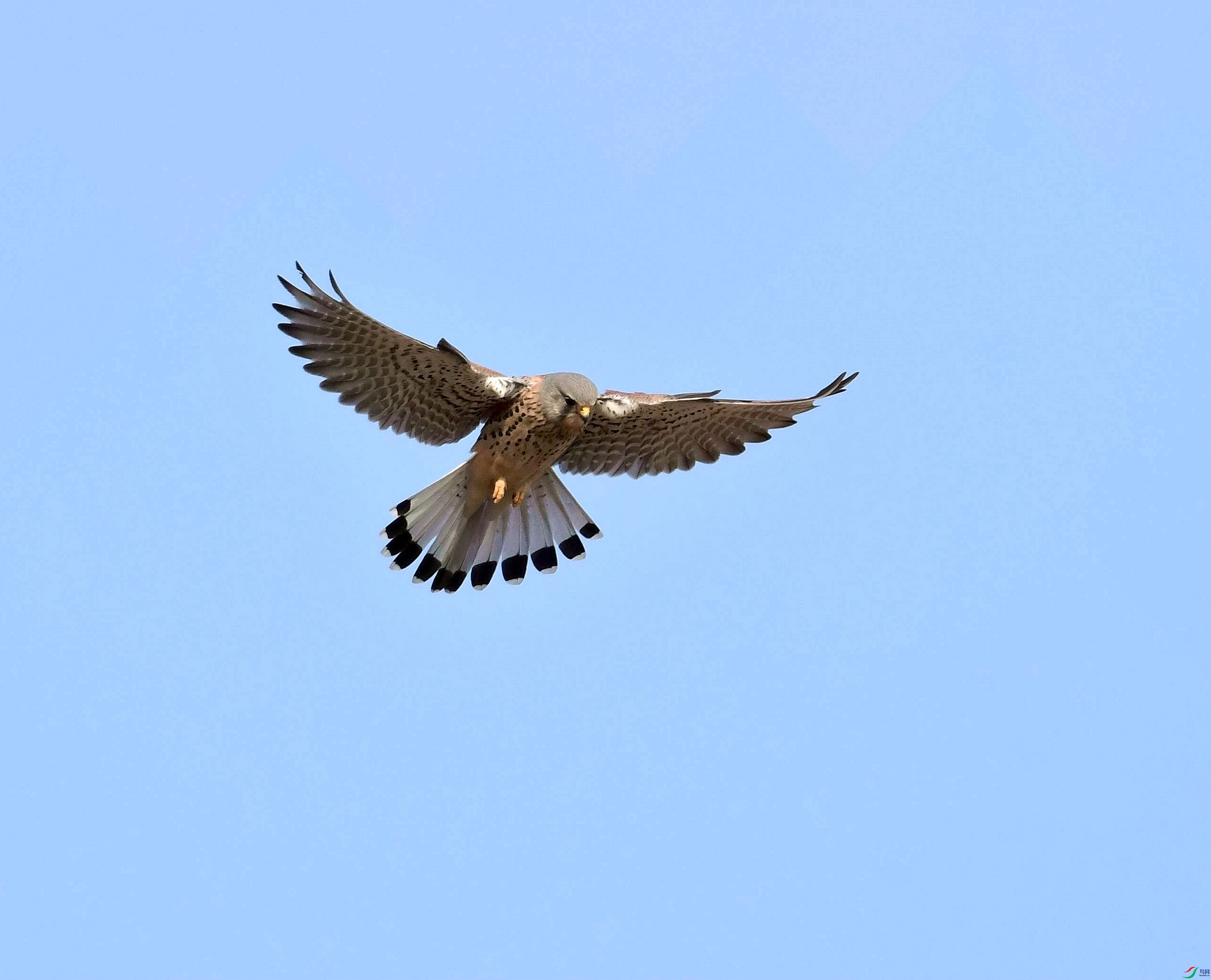 DSC_3905_����.jpg