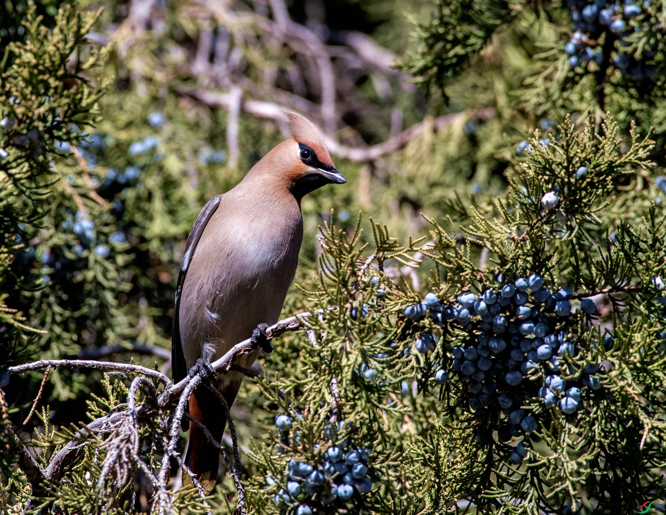 DSC_3856_����.jpg