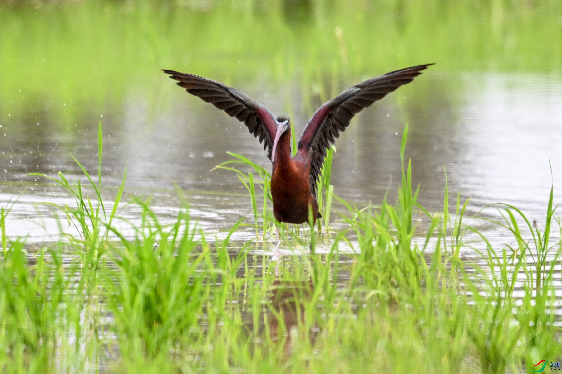 DSC_8071.JPG
