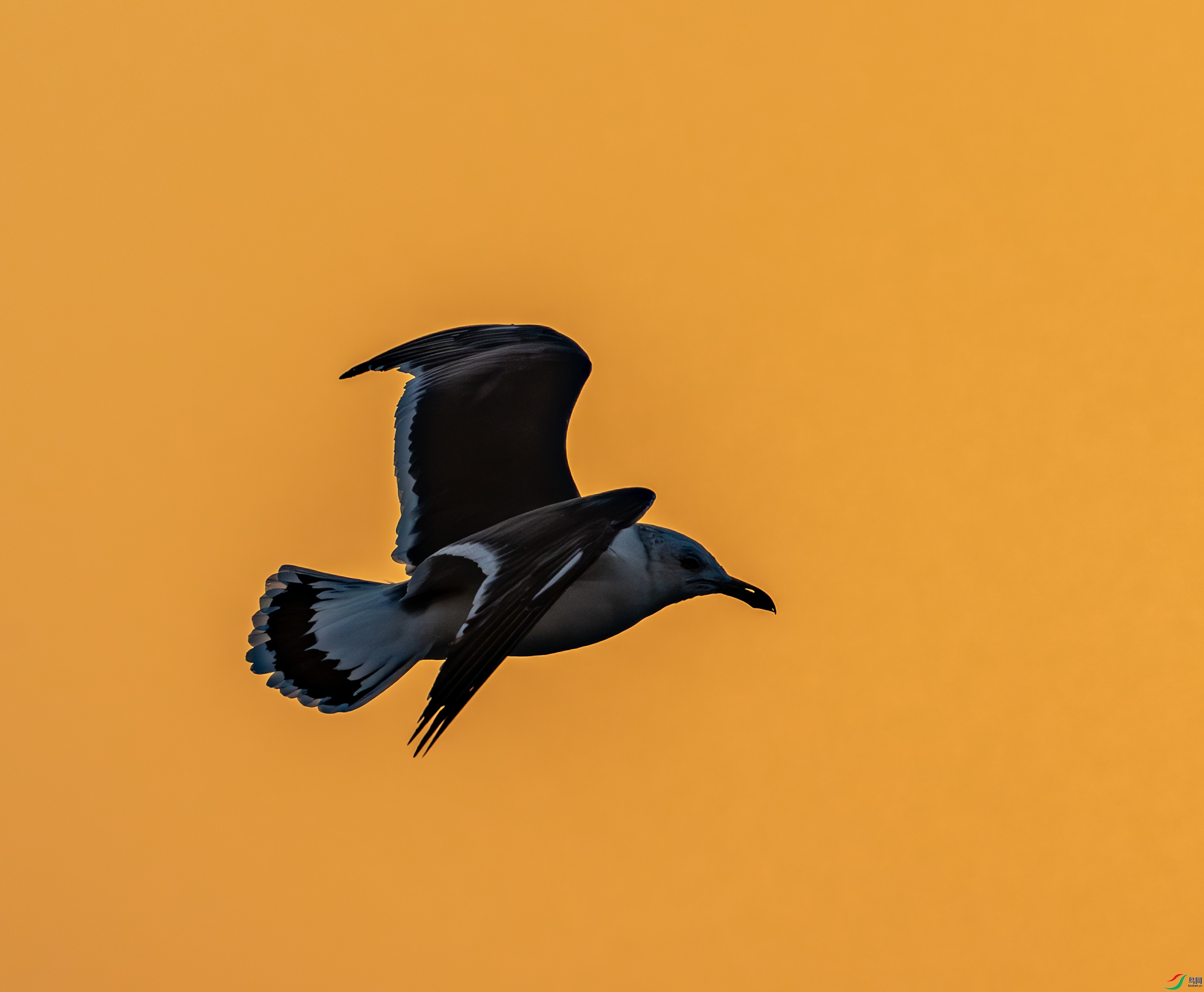 ����������Ÿ-03-33.jpg